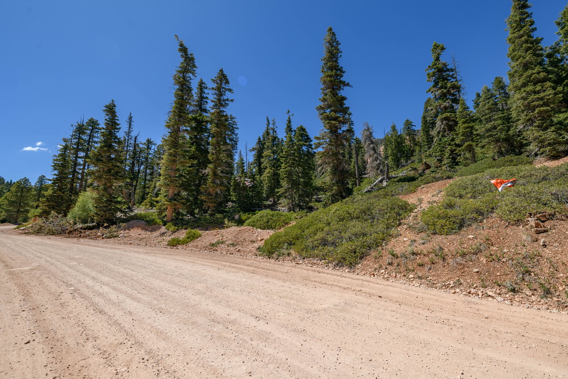  Quiet Mountain Retreat Near Navajo Lake - 物件實景