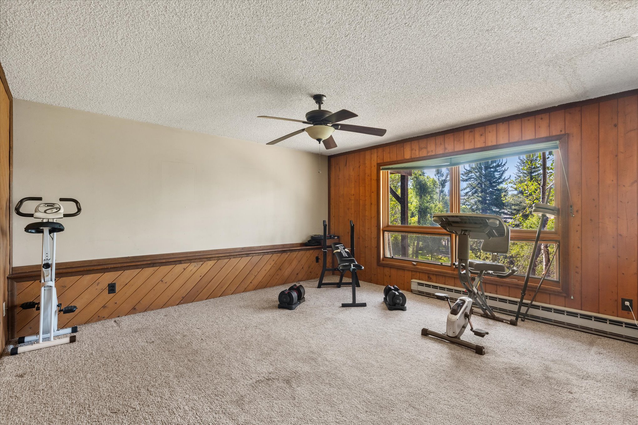  751 Princeton Avenue, Steamboat Springs, CO 80487 - 物件實景