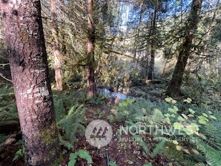 Packwood, Washington, 98937, United States, ,Residential,For Sale,1944866