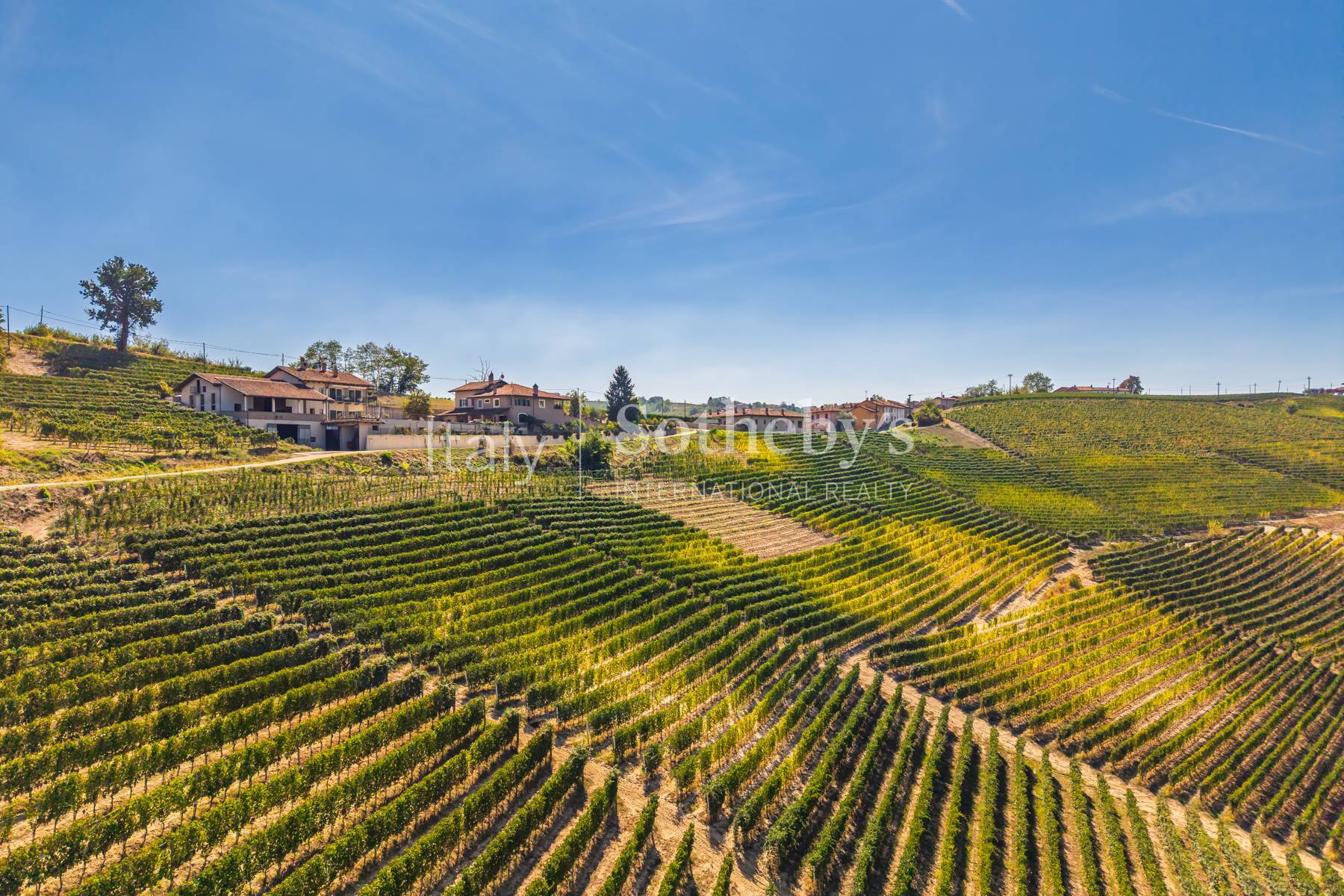  Winery Estate in the Langhe - 物件實景