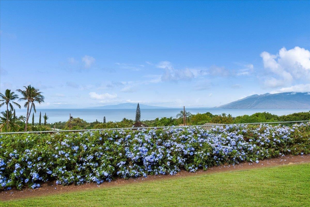 Kihei, Hawaii, 96753, United States, 2 Bedrooms Bedrooms, ,1 BathroomBathrooms,Residential,For Sale,1998812