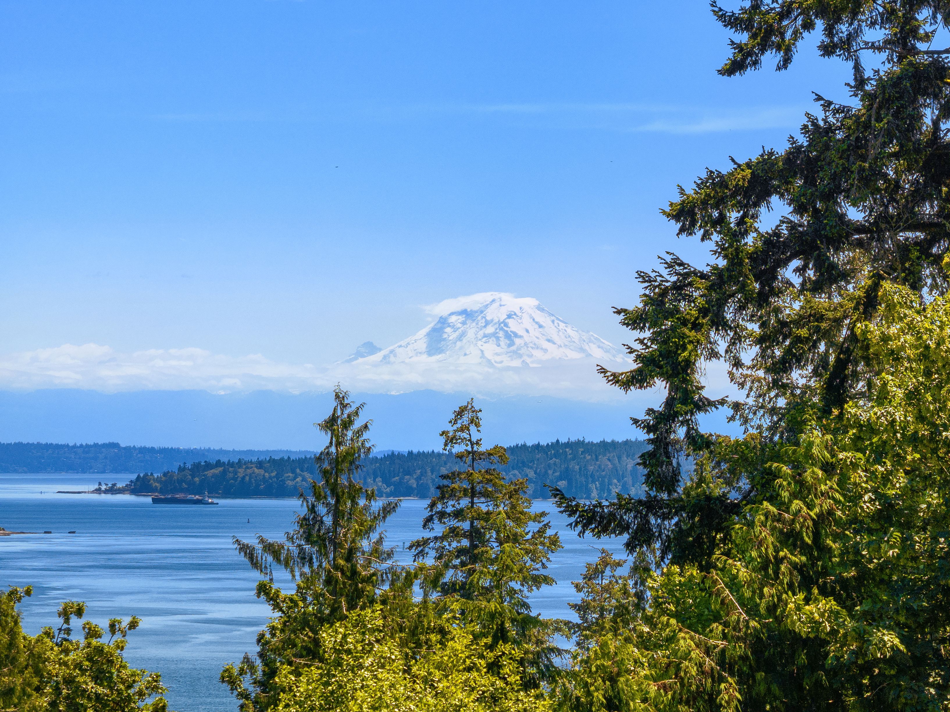  4548 Island Avenue NE, Bainbridge Island, WA 98110 - 物件實景