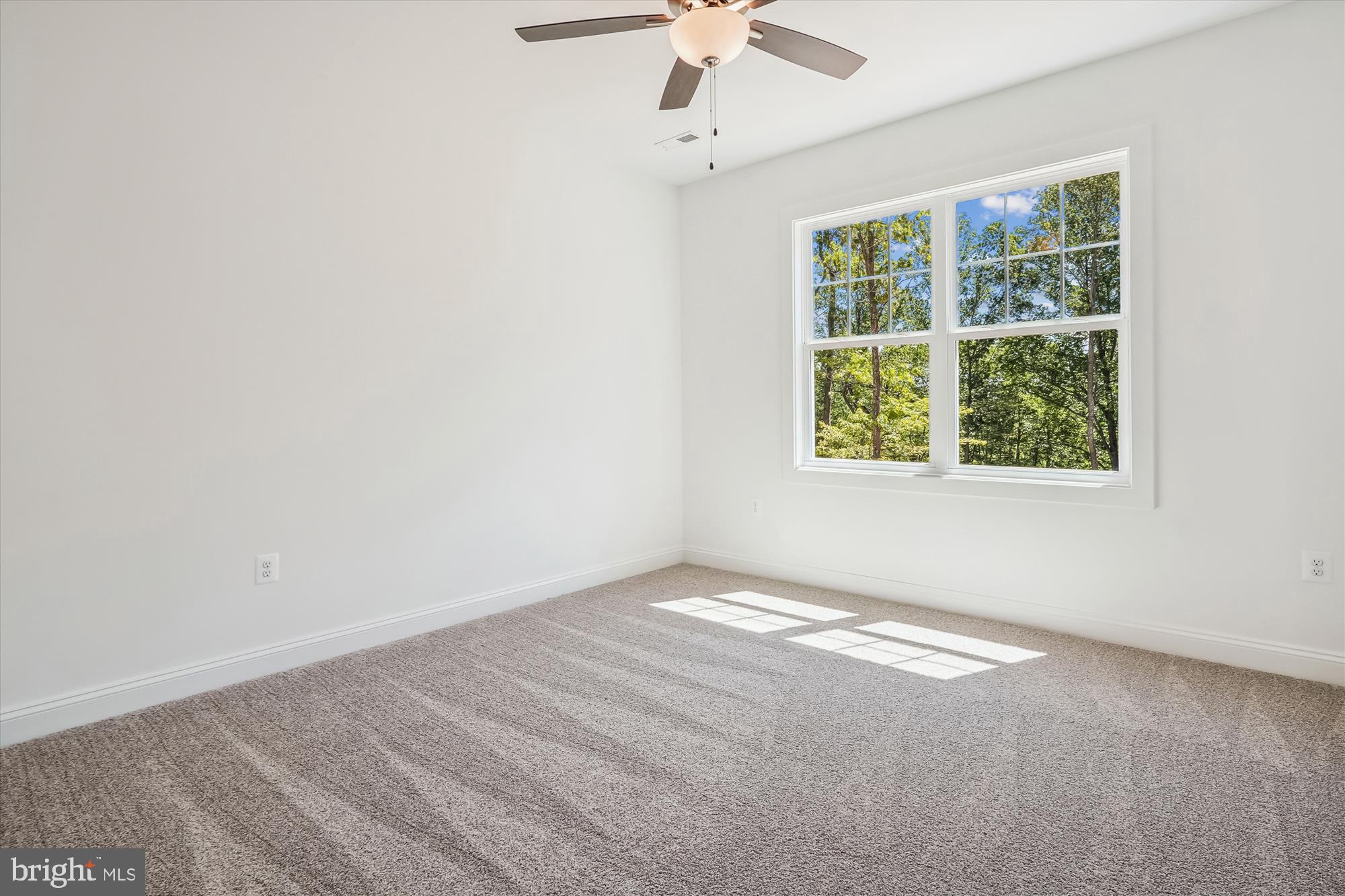 Elkwood, Virginia, 22718, United States, 4 Bedrooms Bedrooms, ,4 BathroomsBathrooms,Residential,For Sale,1823102