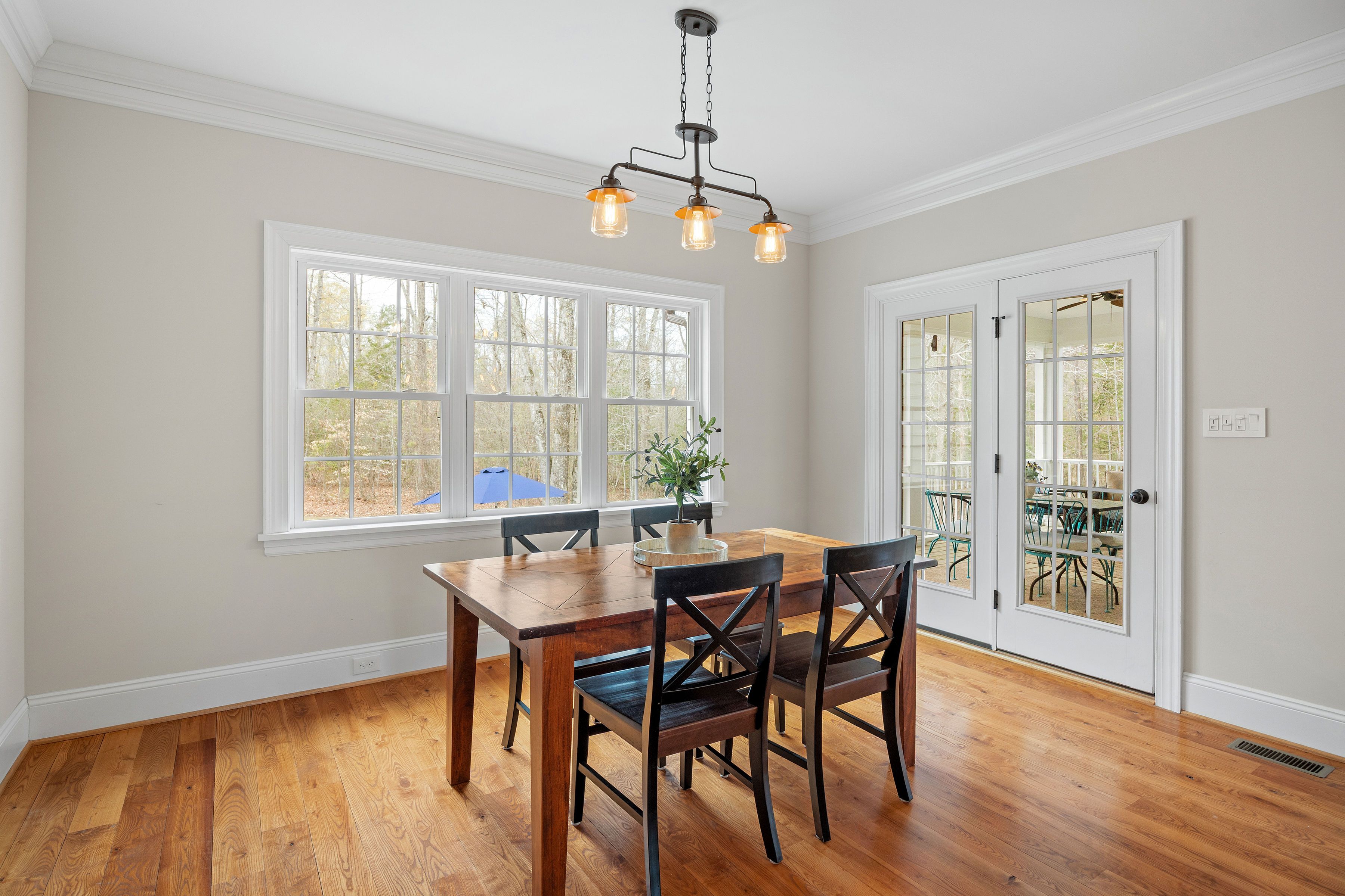  9305 Climbing Jasmine Way, Ashland, VA 23005 - 物件實景