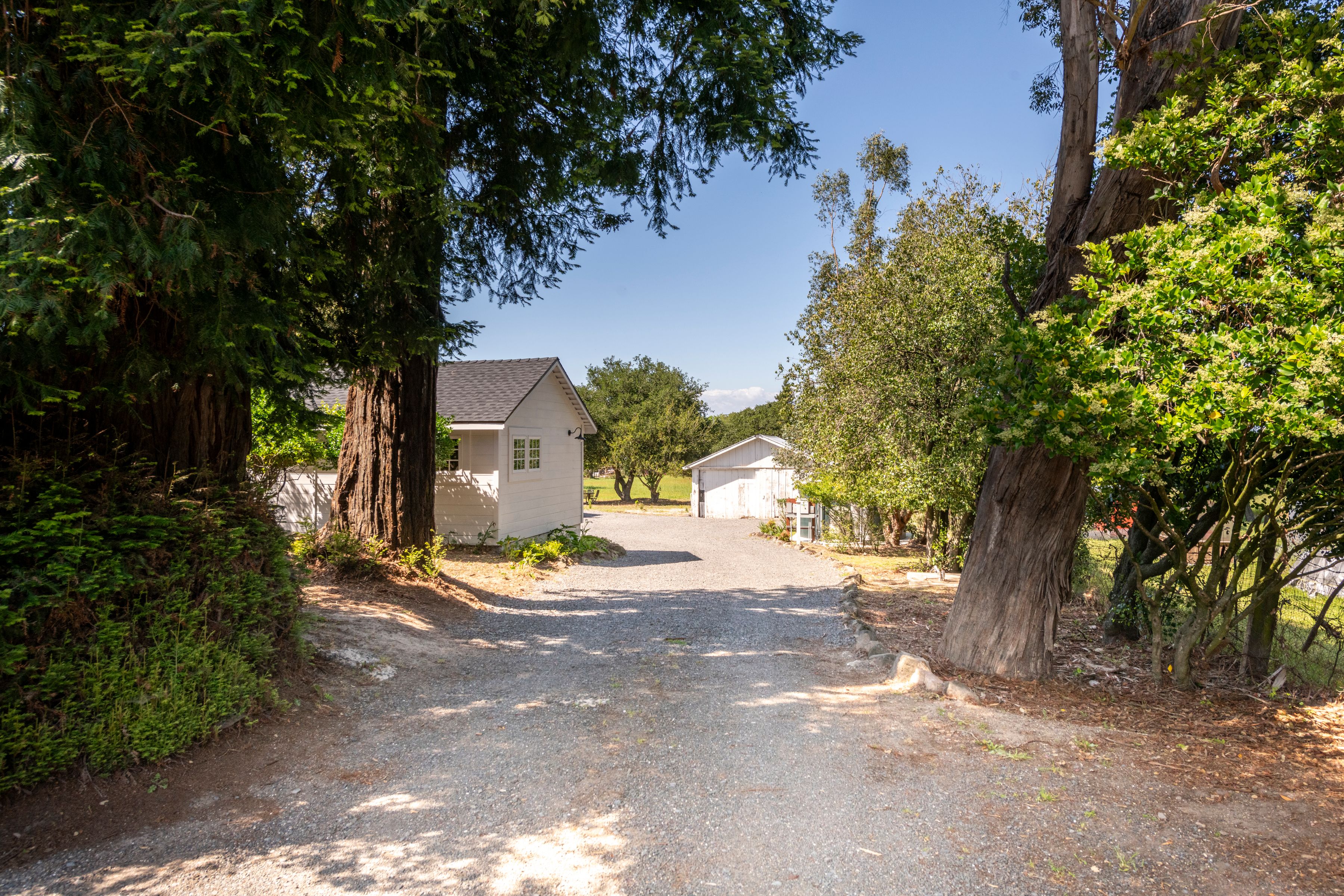  Farmhouse Retreat in Petaluma - 物件實景