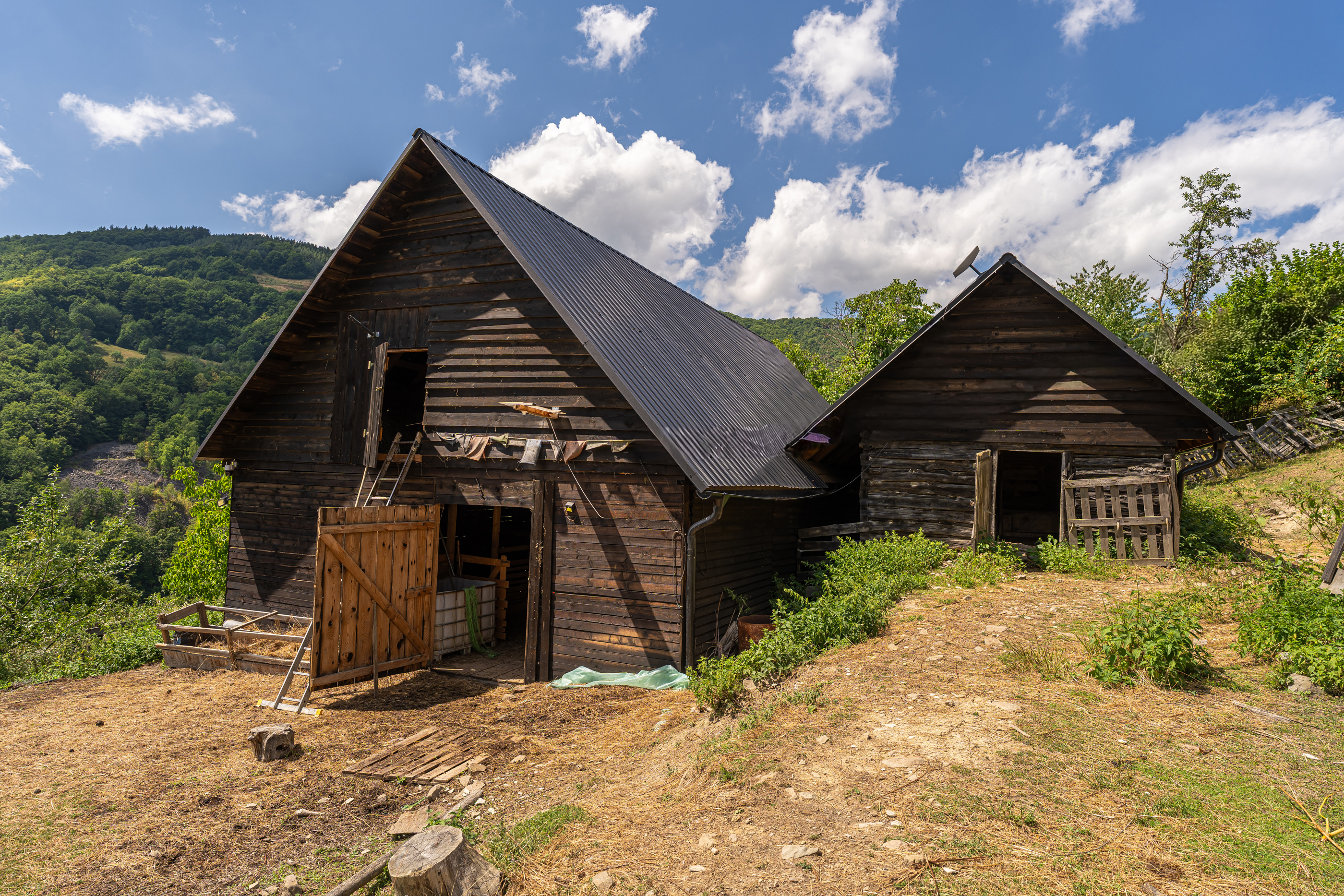  Versatile 22-Hectare Private Estate - Forested Heart of the Apuseni Mountains - 物件實景