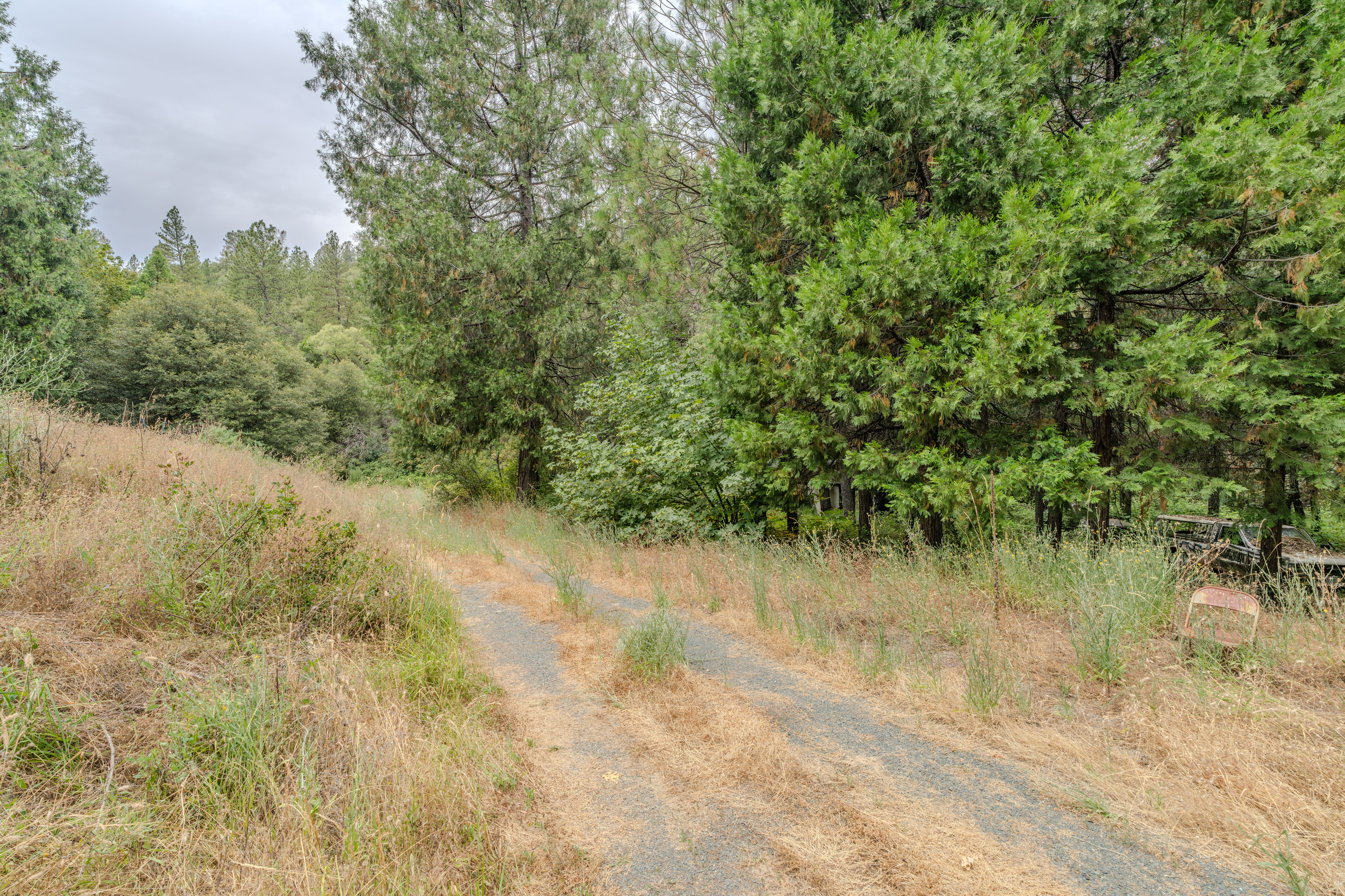  18101 Old River Road, Fiddletown, CA 95629 - 物件實景