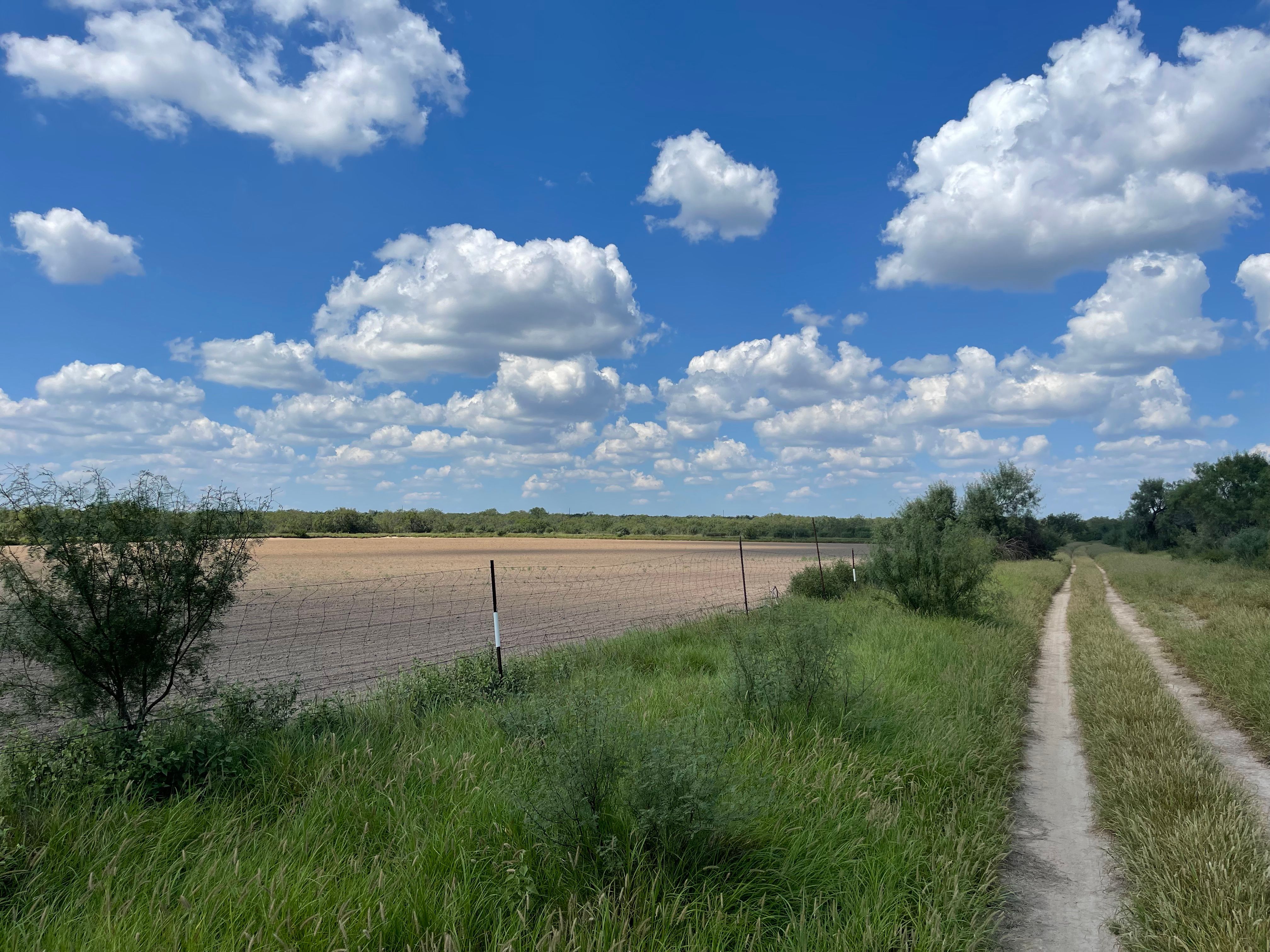  Historic El Tecomate Hunting Ranch - 物件實景