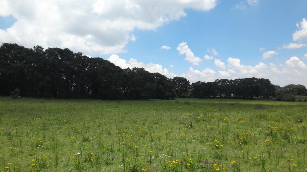 Rancho Tecolapan, Jilotepec, Estado de México, 54270, Mexico, 1 Bedroom Bedrooms, ,Residential,For Sale,Rancho Tecolapan,1443404