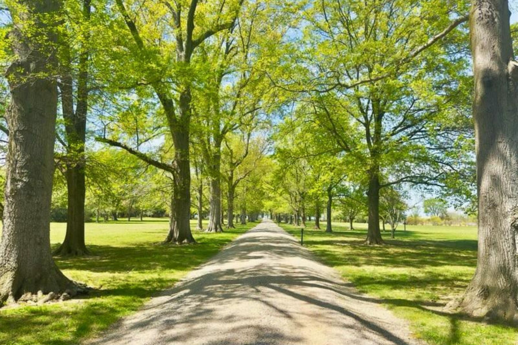  8612 Tilghman Island Road, Wittman, MD, 21676 - 物件實景