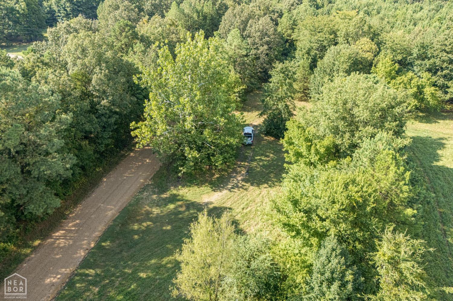 Paragould, Arkansas, 72450, United States, ,Residential,For Sale,1975234