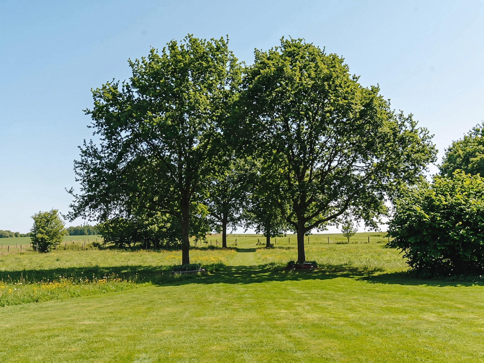  Brabant Wallon I Lasne - 物件實景