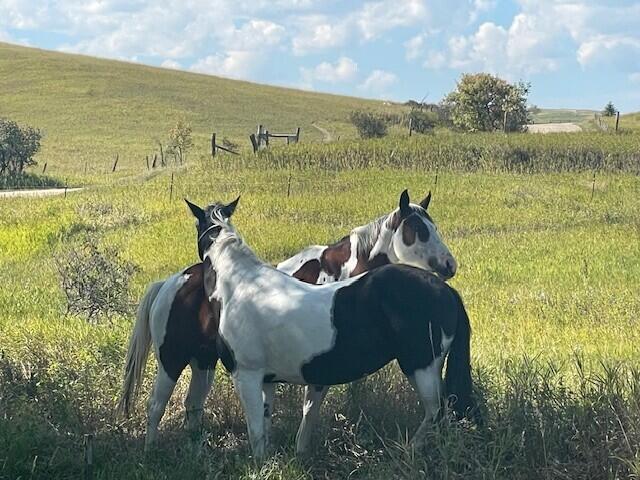 Banner, Wyoming, 82832, United States, 4 Bedrooms Bedrooms, ,3 BathroomsBathrooms,Residential,For Sale,1983466