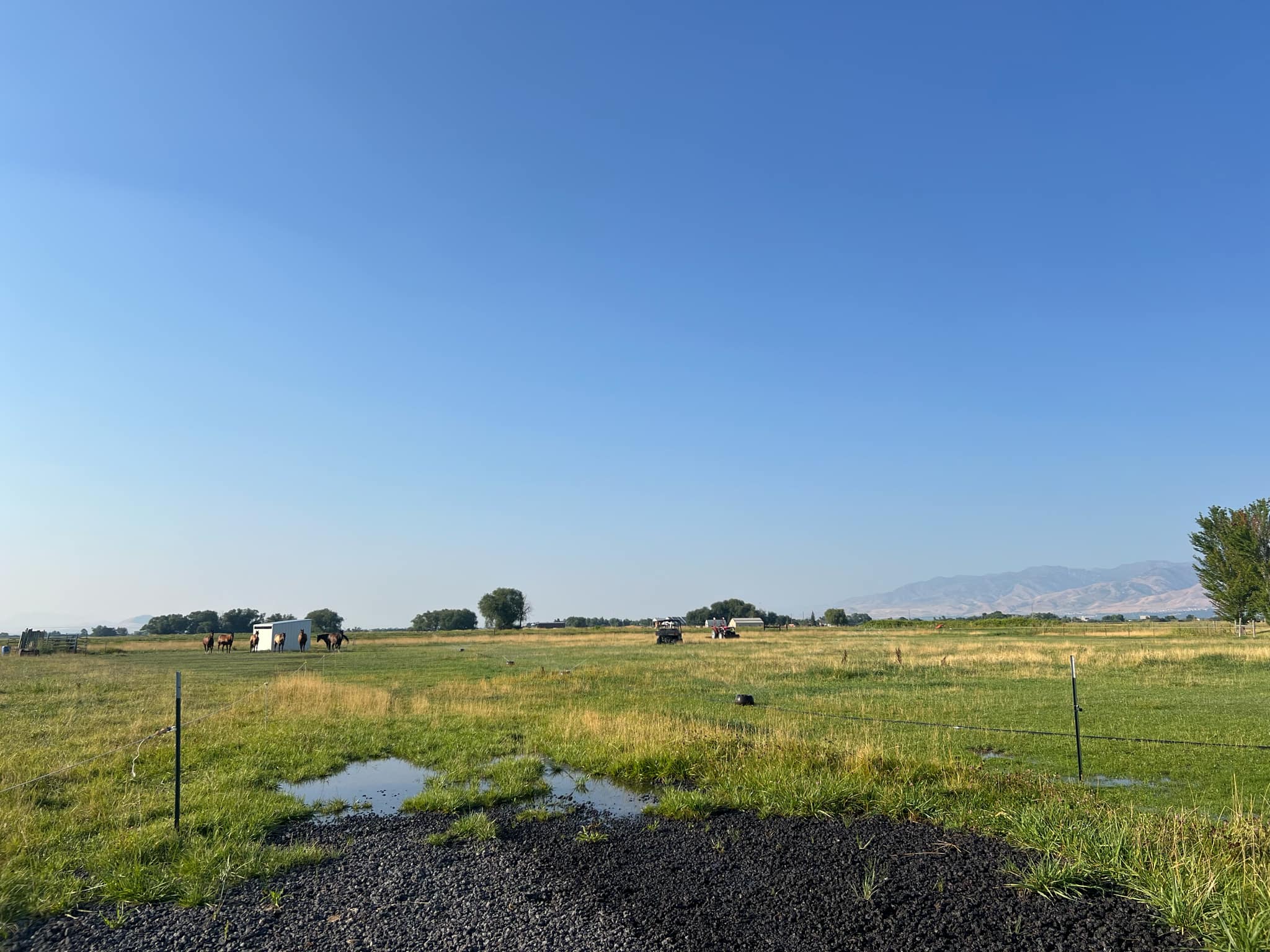 Logan, Utah, 84321, United States, ,Land,For Sale,1910822