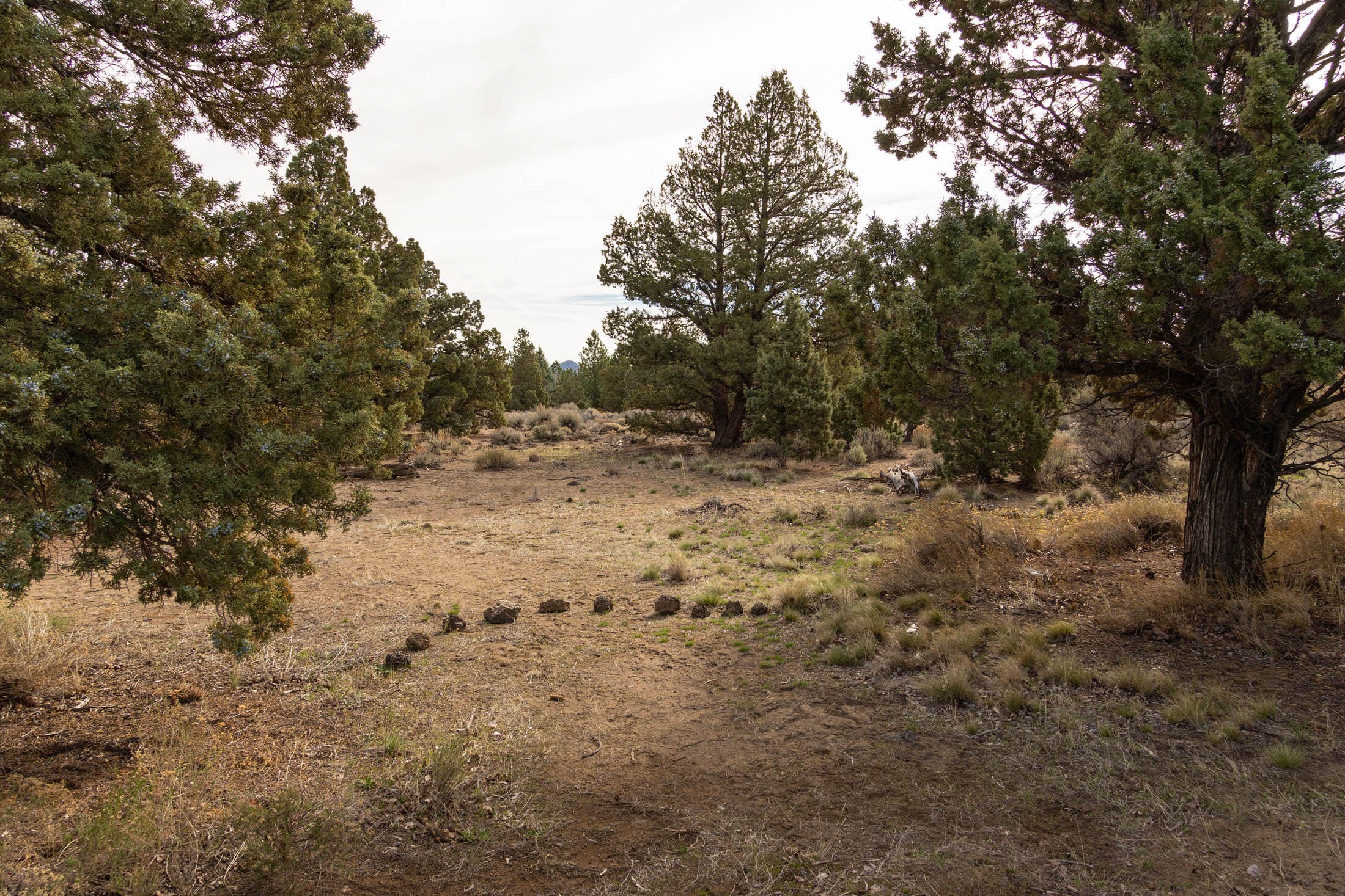  65833 Bearing Drive #Lot 130 Bend, OR 97701 - 物件實景