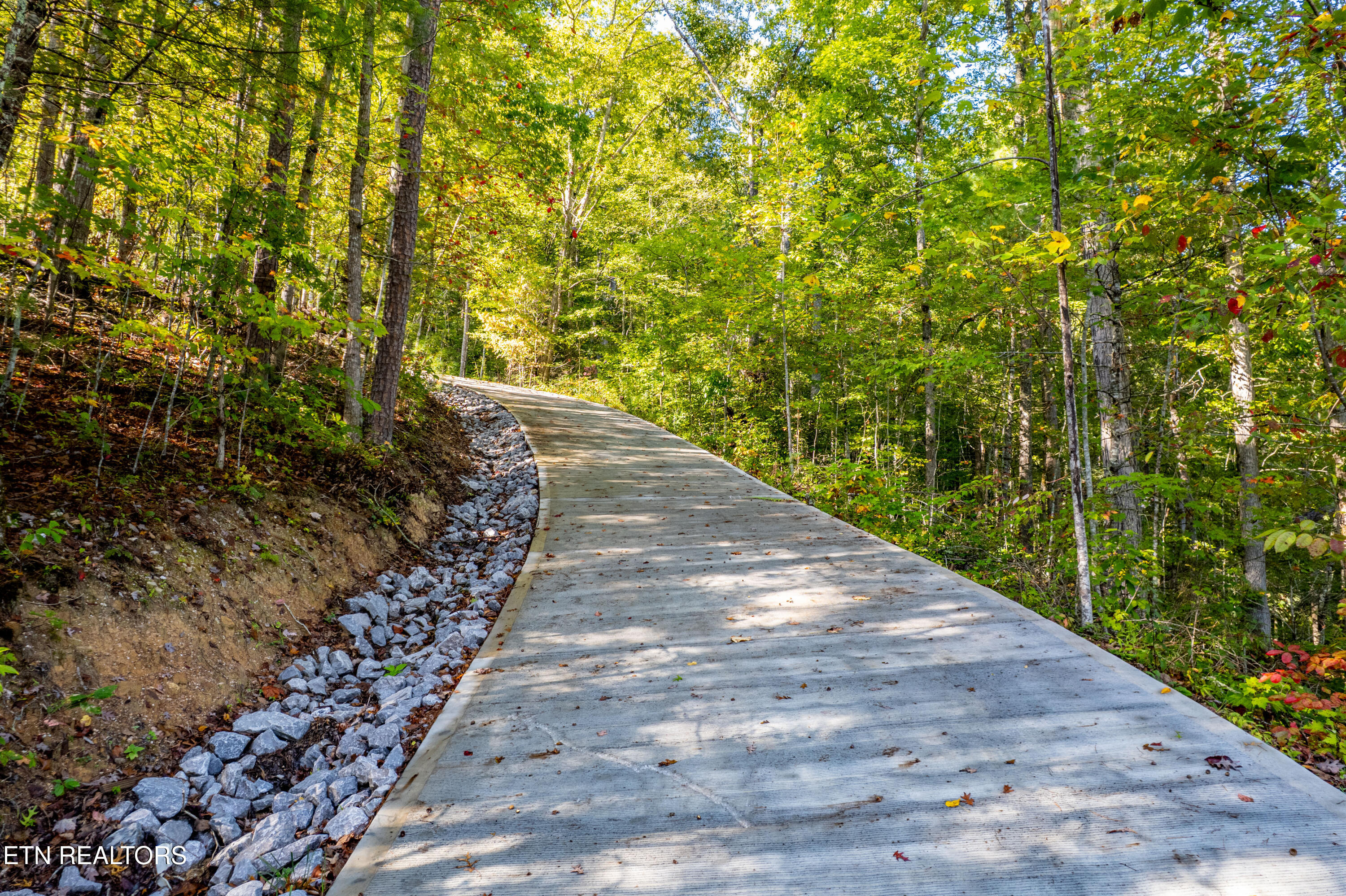 Townsend, Tennessee, 37882, United States, ,Land,For Sale,1982643