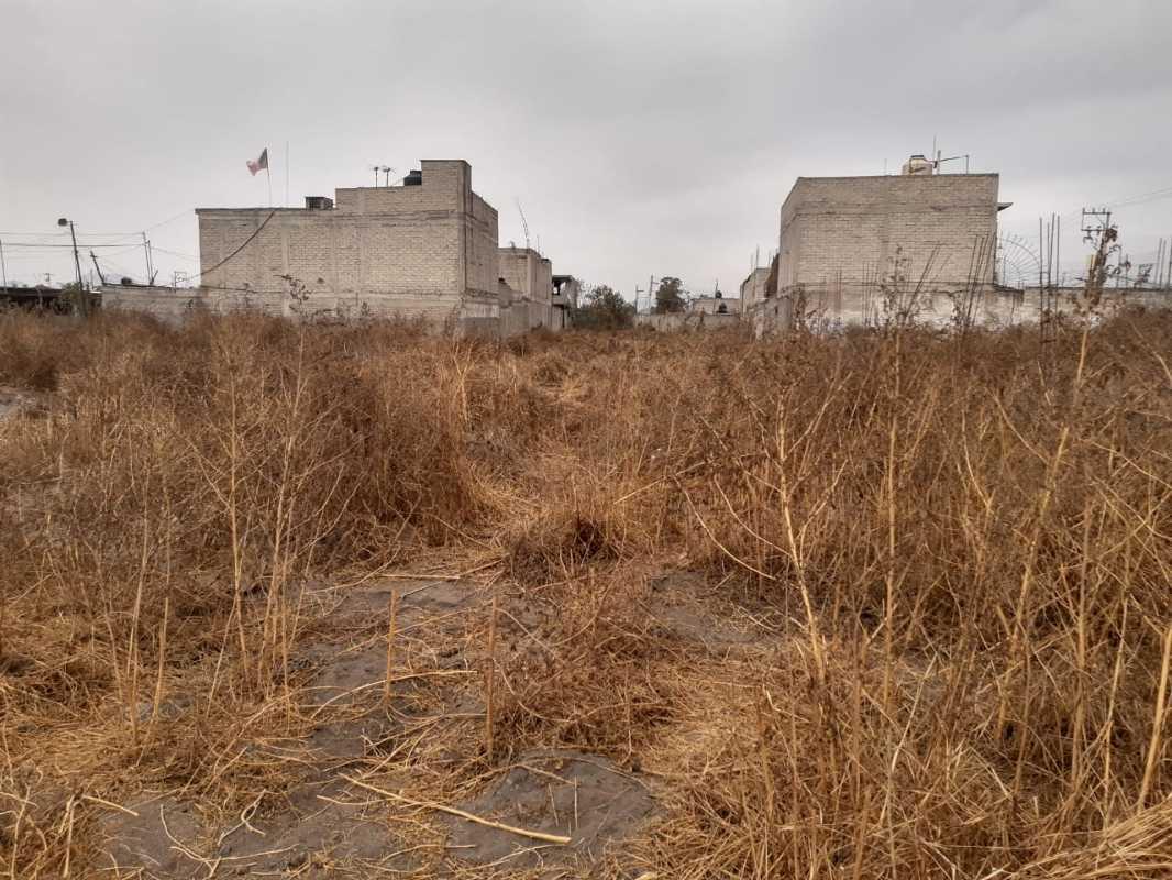 PRIMERA CERRADA DE TEJOCOTES, Chalco, Estado de México, 56624, Mexico, 1 Bedroom Bedrooms, ,Residential,For Sale,PRIMERA CERRADA DE TEJOCOTES,1619709