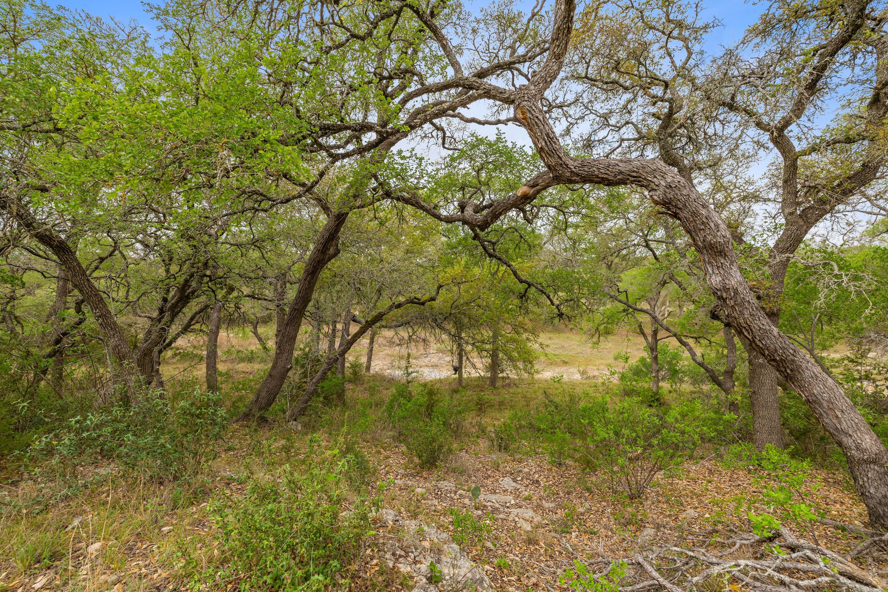  744 Bartlett Drive West - 物件實景