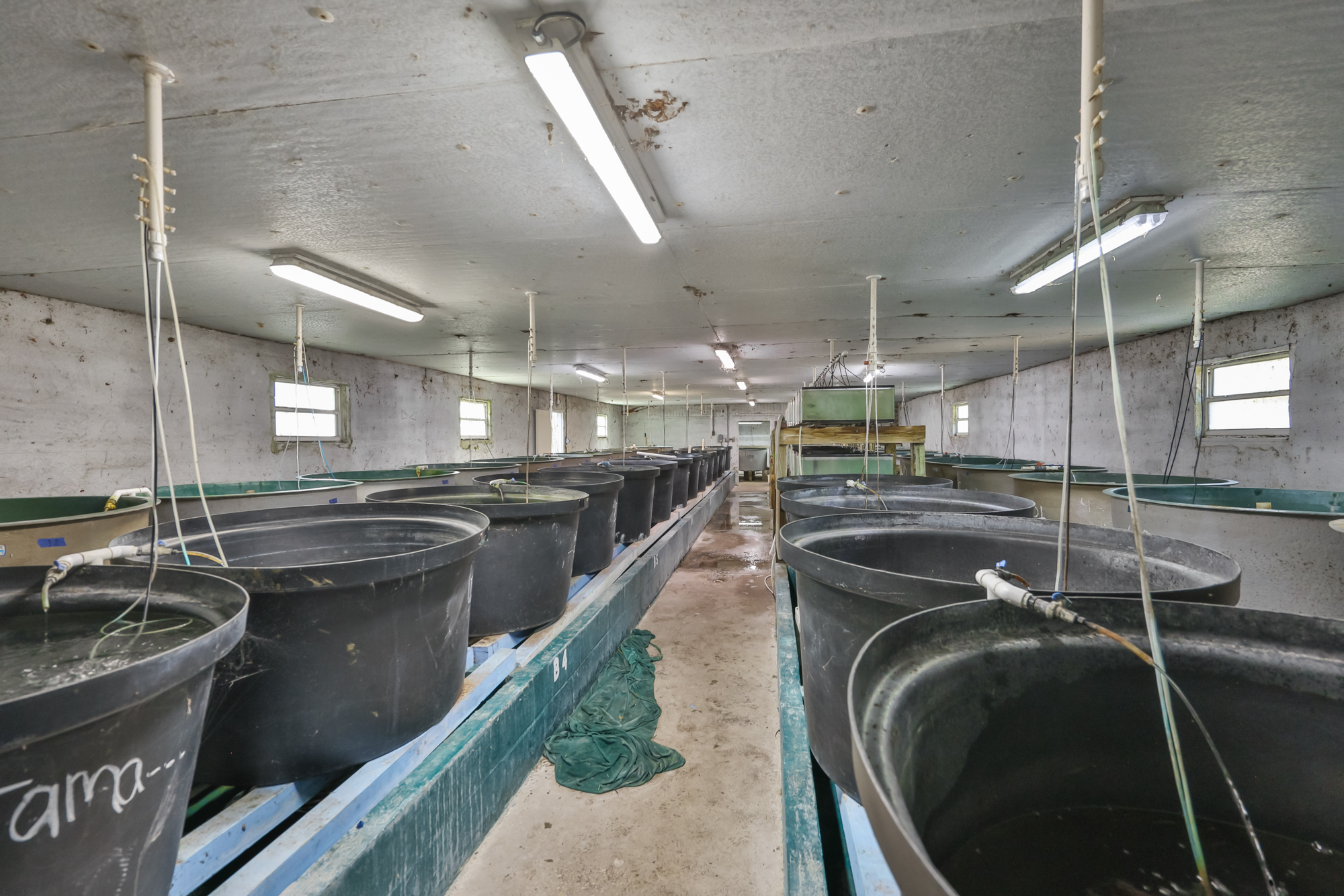 Wimauma, Florida, 33598, United States, 3 Bedrooms Bedrooms, ,2 BathroomsBathrooms,Residential,For Sale,2016610