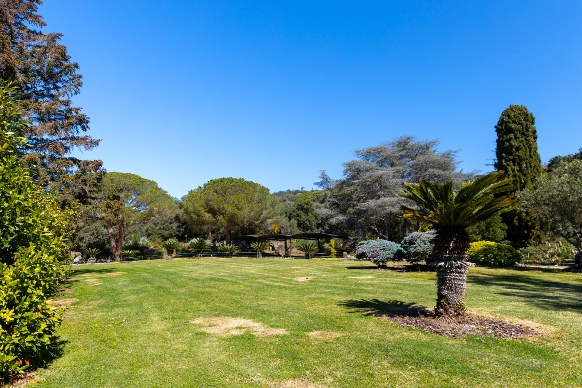  Unique and exceptional farmhouse in Supermaresme - Costa BCN - 物件實景