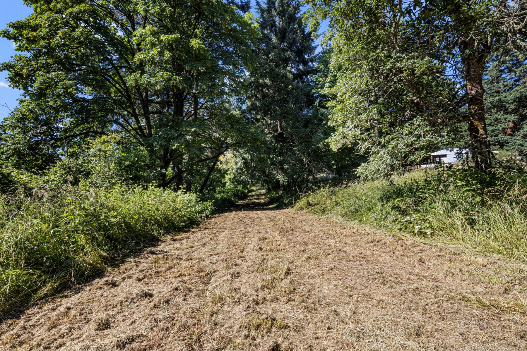  NE Santiam WAY Albany, OR 97322 - 物件實景