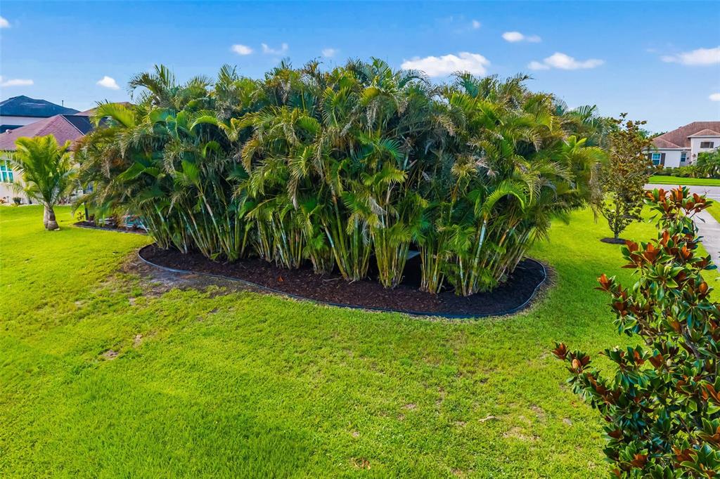 Bradenton, Florida, 34212, United States, 4 Bedrooms Bedrooms, ,3 BathroomsBathrooms,Residential,For Sale,1866766
