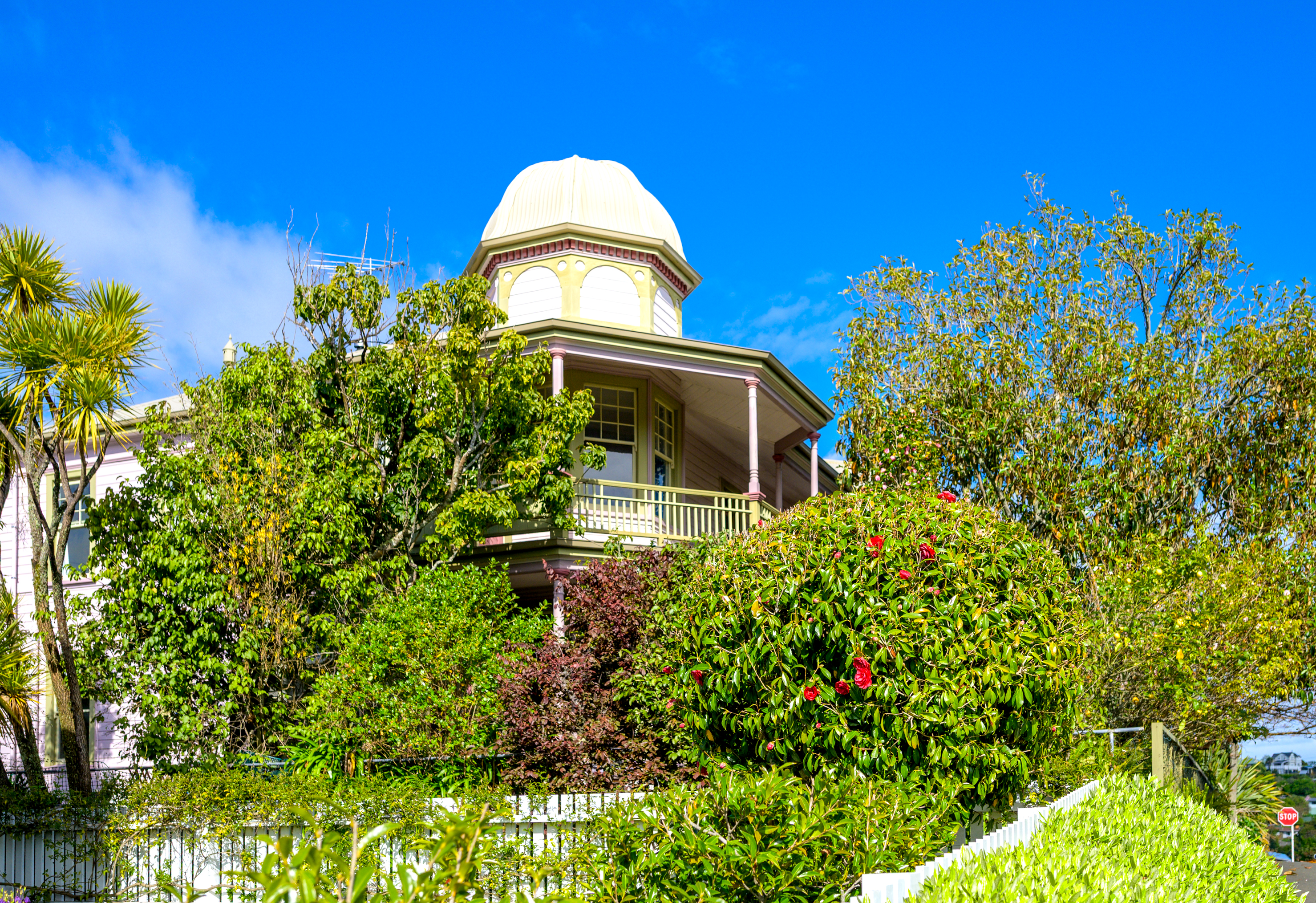  24 Bronte Street, Nelson - 物件實景