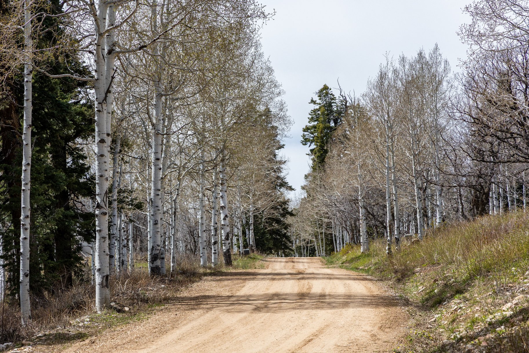  Exceptional Build Opportunity in a Quiet Canyon Bordering Park City - 物件實景