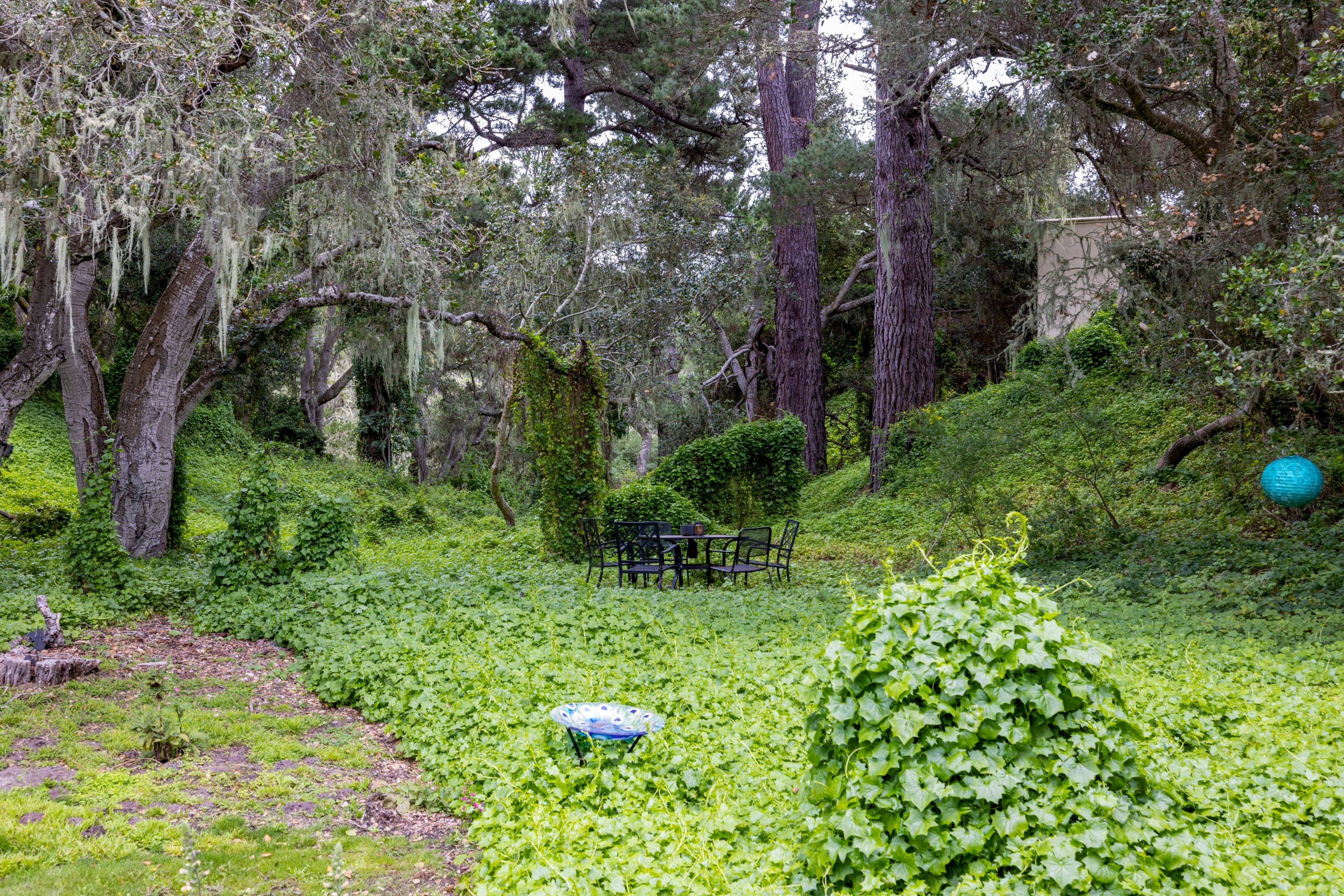  25193 Flanders Drive, Carmel - 物件實景