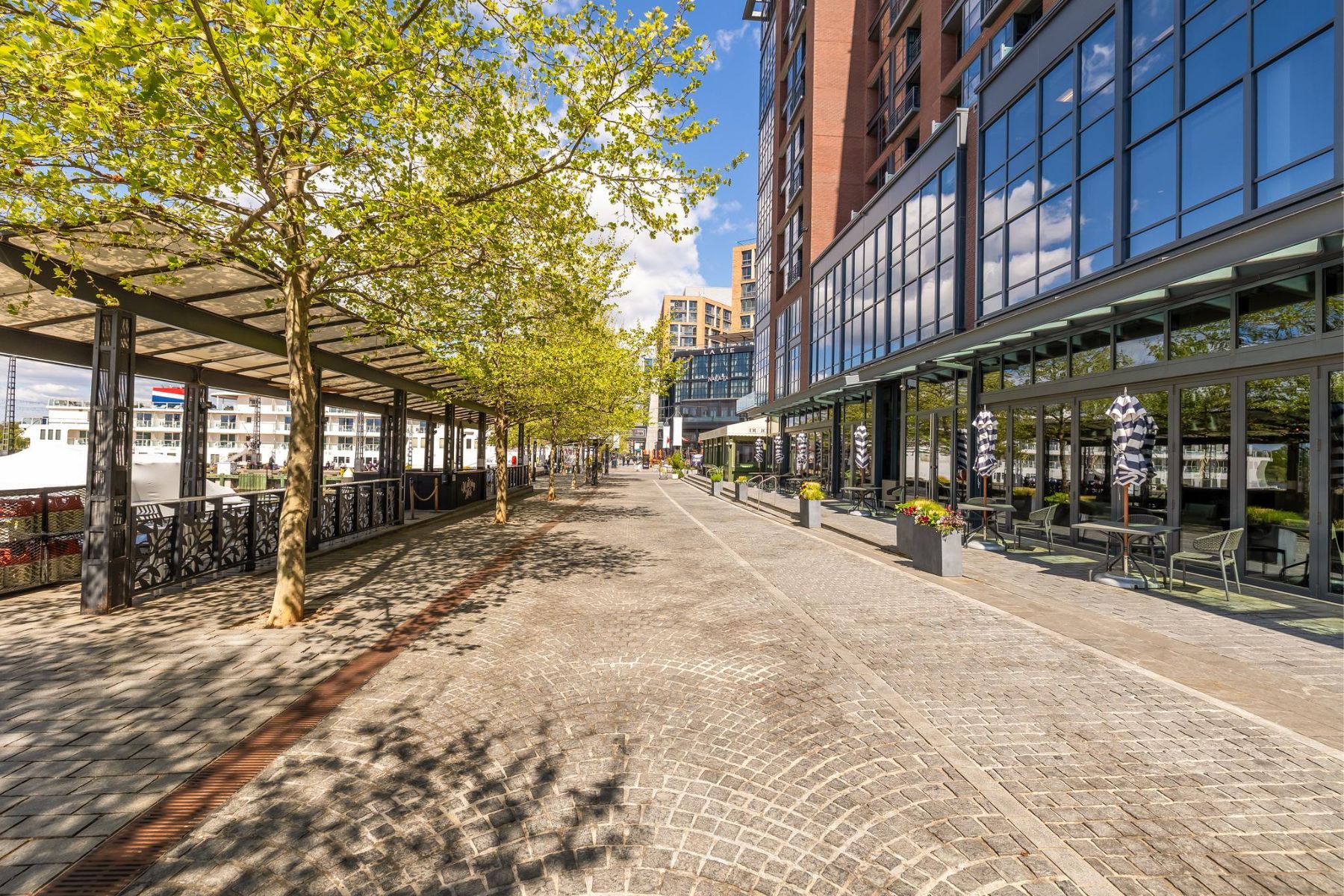  45 Sutton Square SW, Washington, DC, 20024 - 物件實景