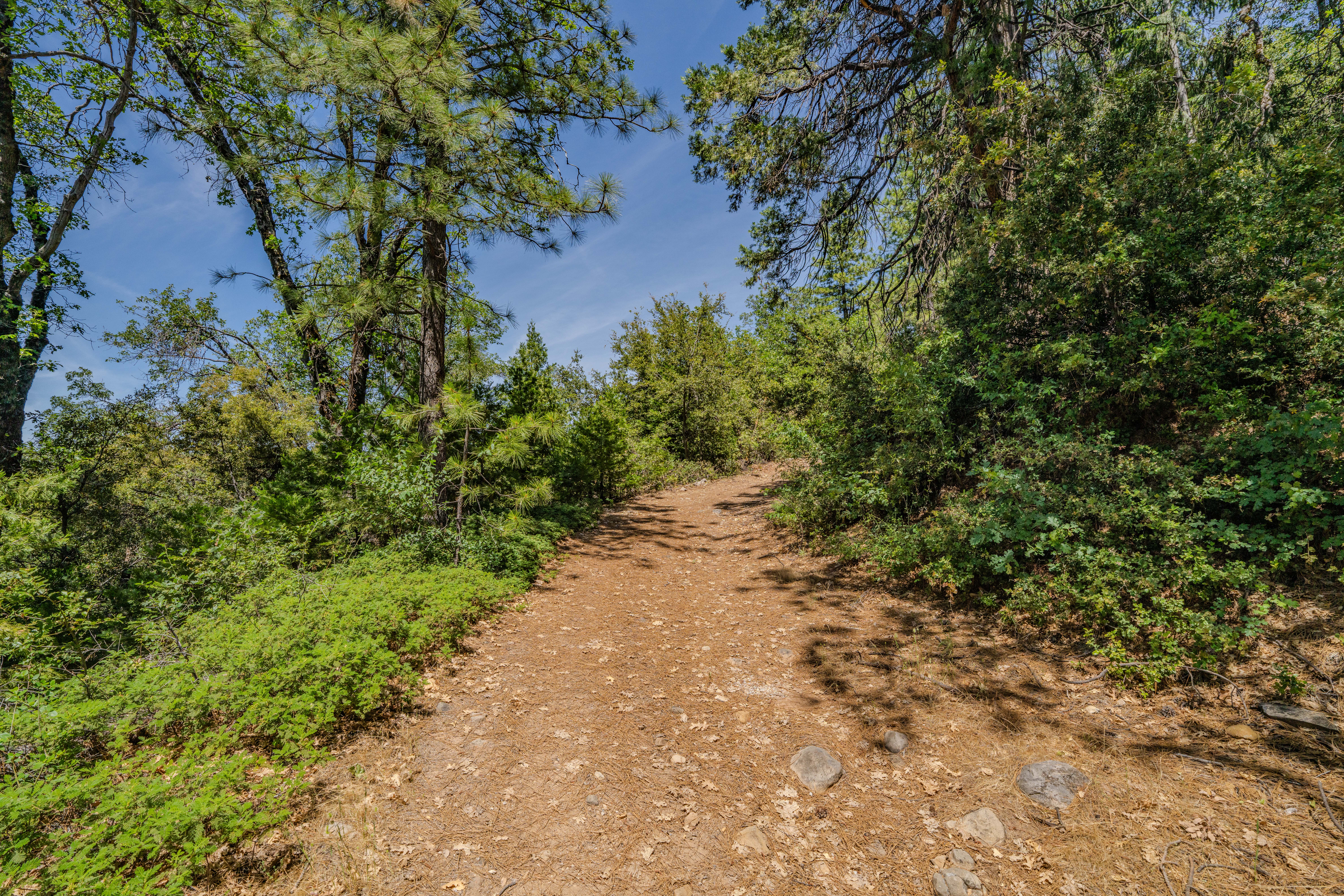  24100 Canterbury Road, Pioneer, CA 95666 - 物件實景