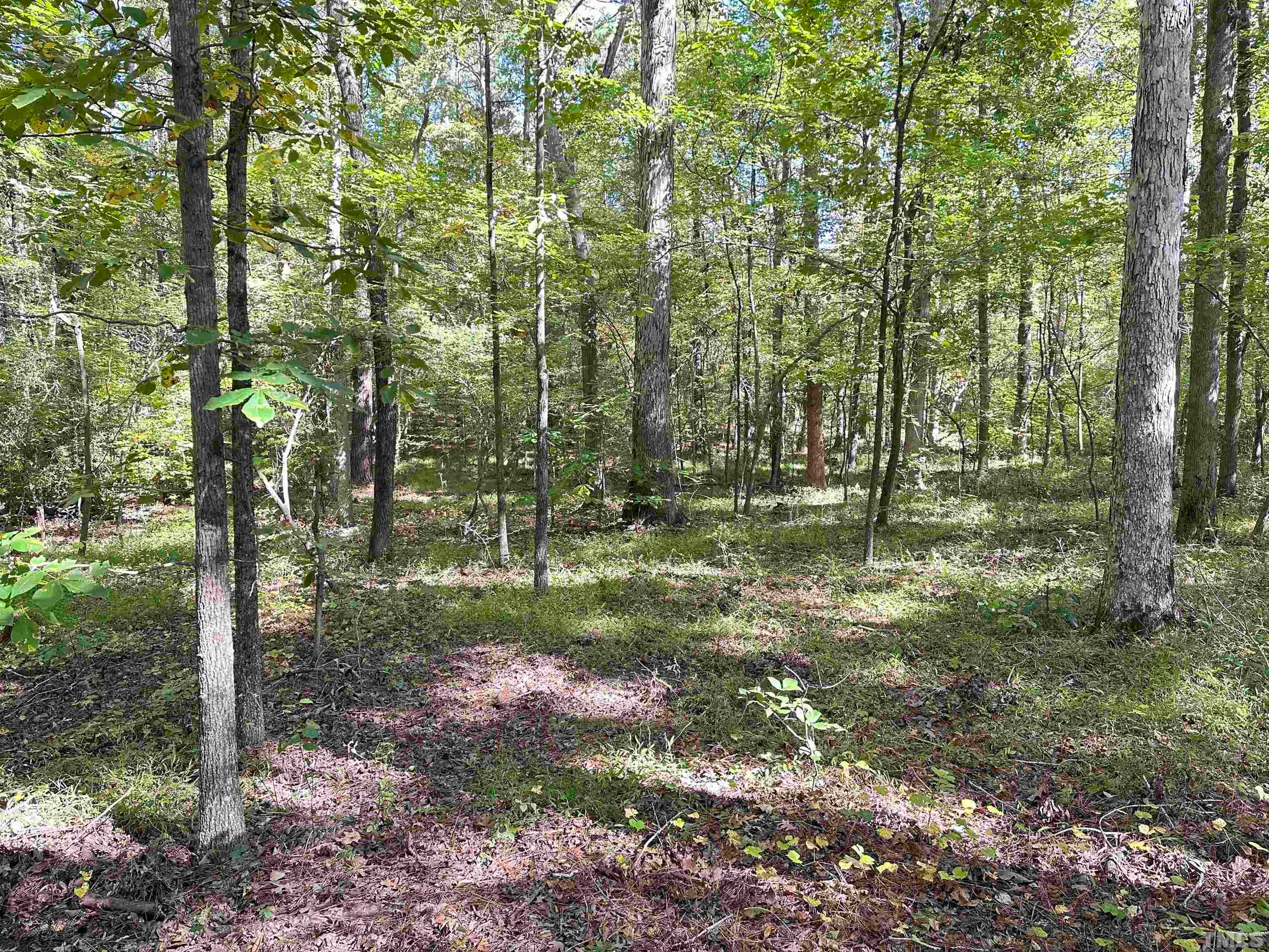 8017 Farrington Mill Road, Chapel Hill, North Carolina, 27517, United States, ,Land,For Sale,8017 Farrington Mill Road,1623508