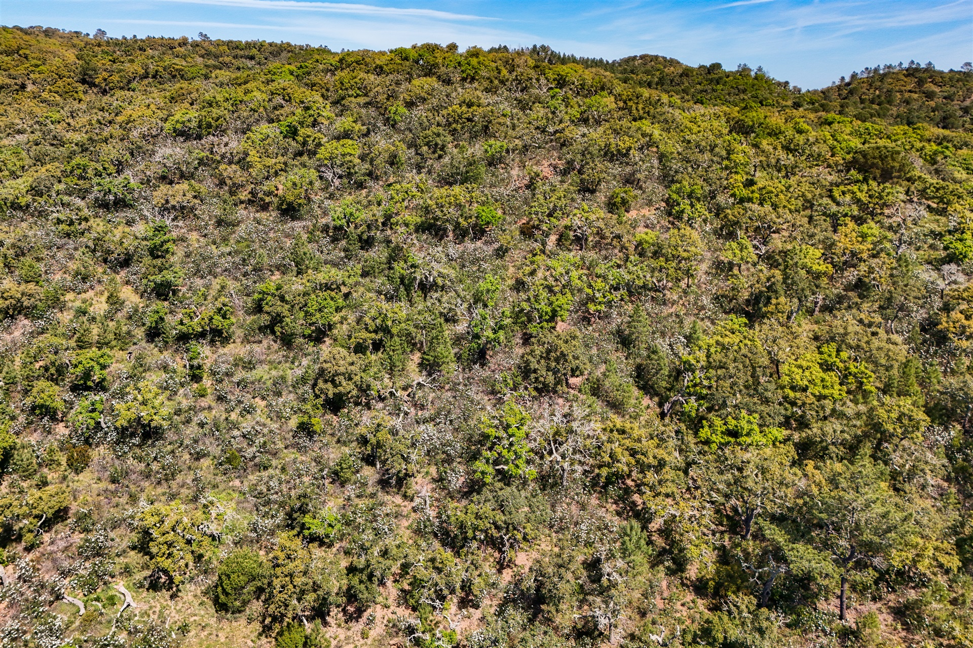  Real estate land for Sale - 物件實景