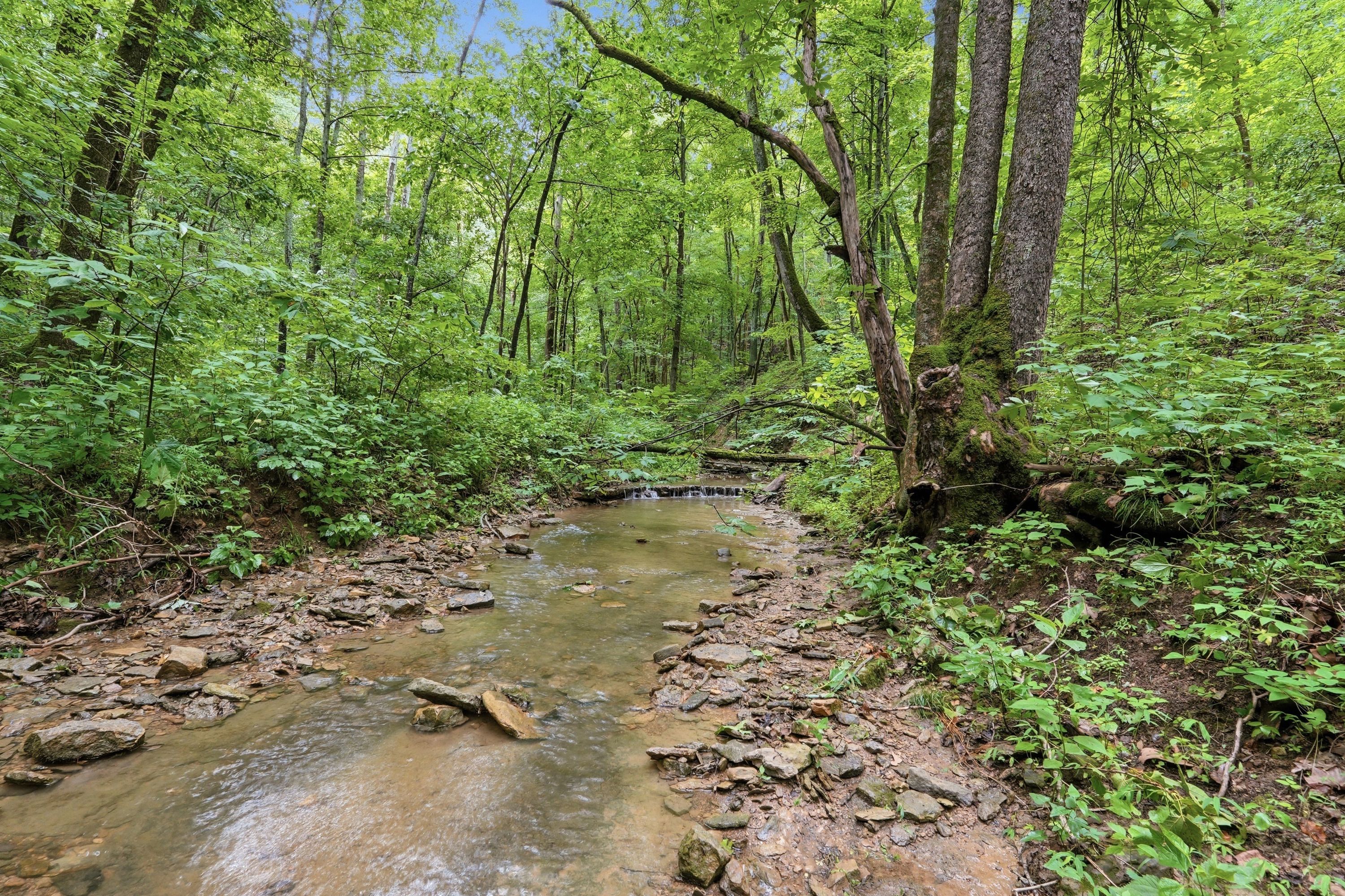  3850 Smith Lane, La Grange, KY 40031 - 物件實景