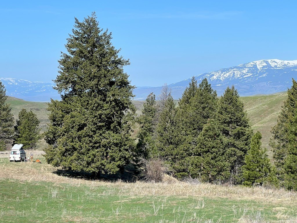 Council, Idaho, 83612, United States, ,Residential,For Sale,1935833