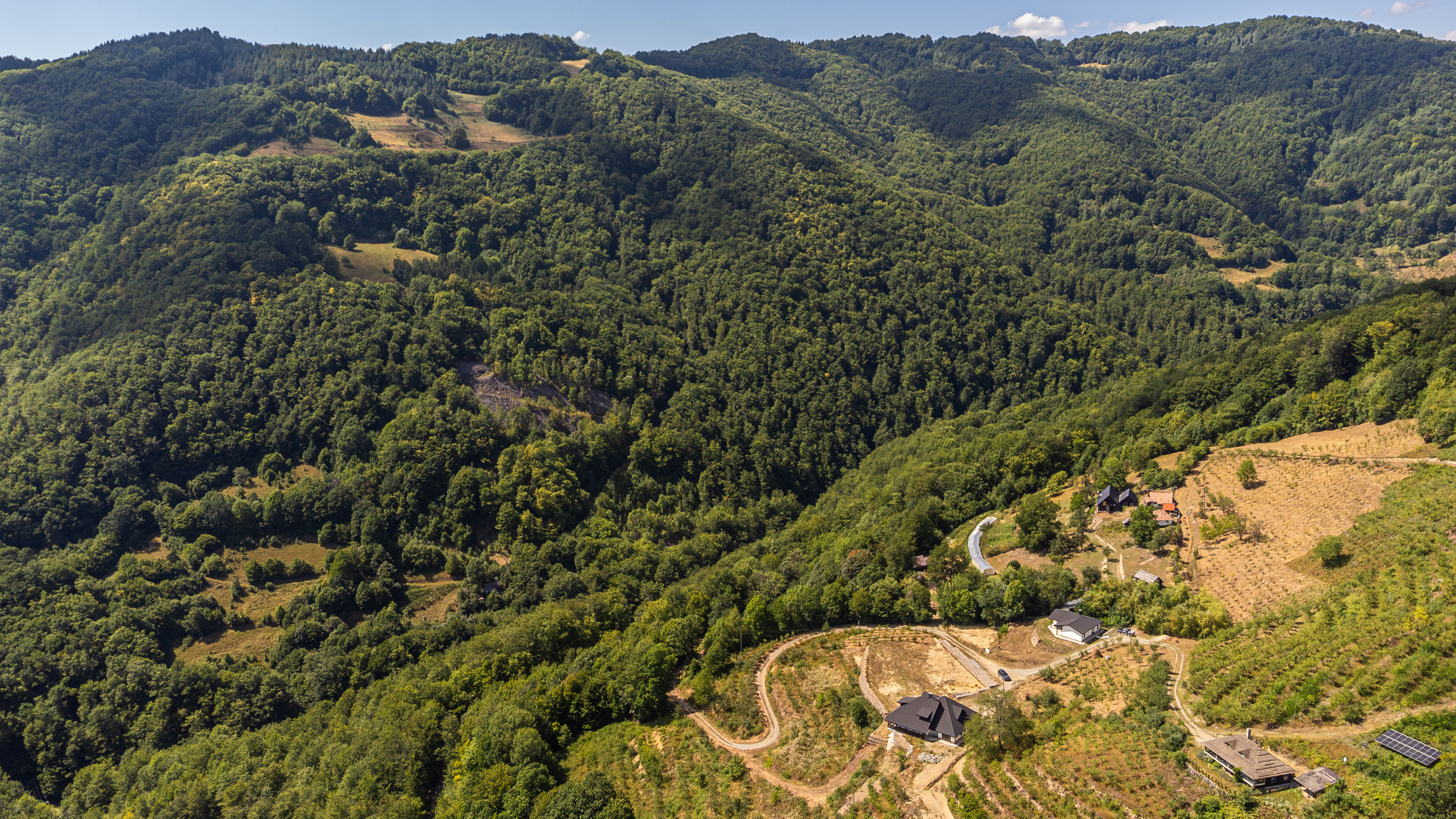  Versatile 22-Hectare Private Estate - Forested Heart of the Apuseni Mountains - 物件實景