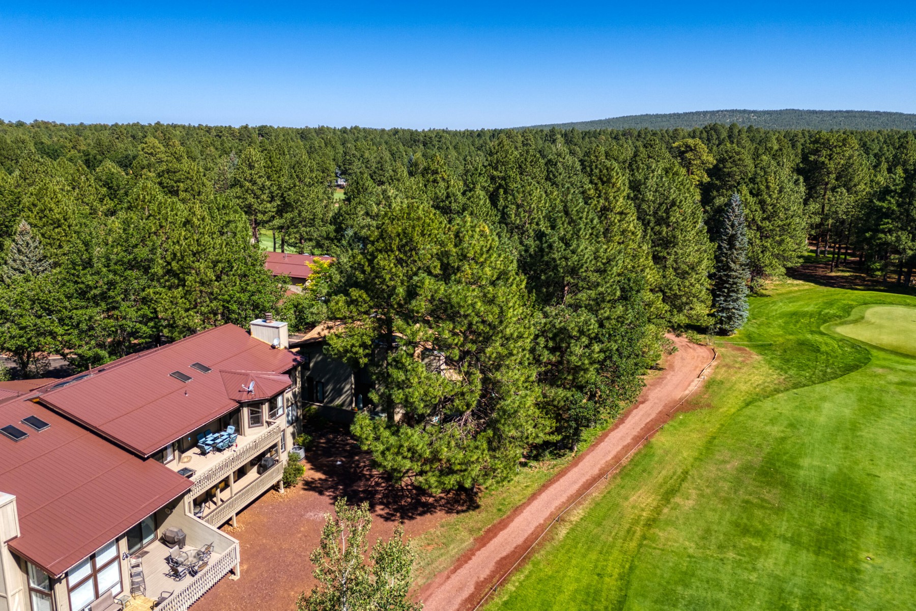  3651 Crown Dancer Drive¦Pinetop, AZ, - 物件實景