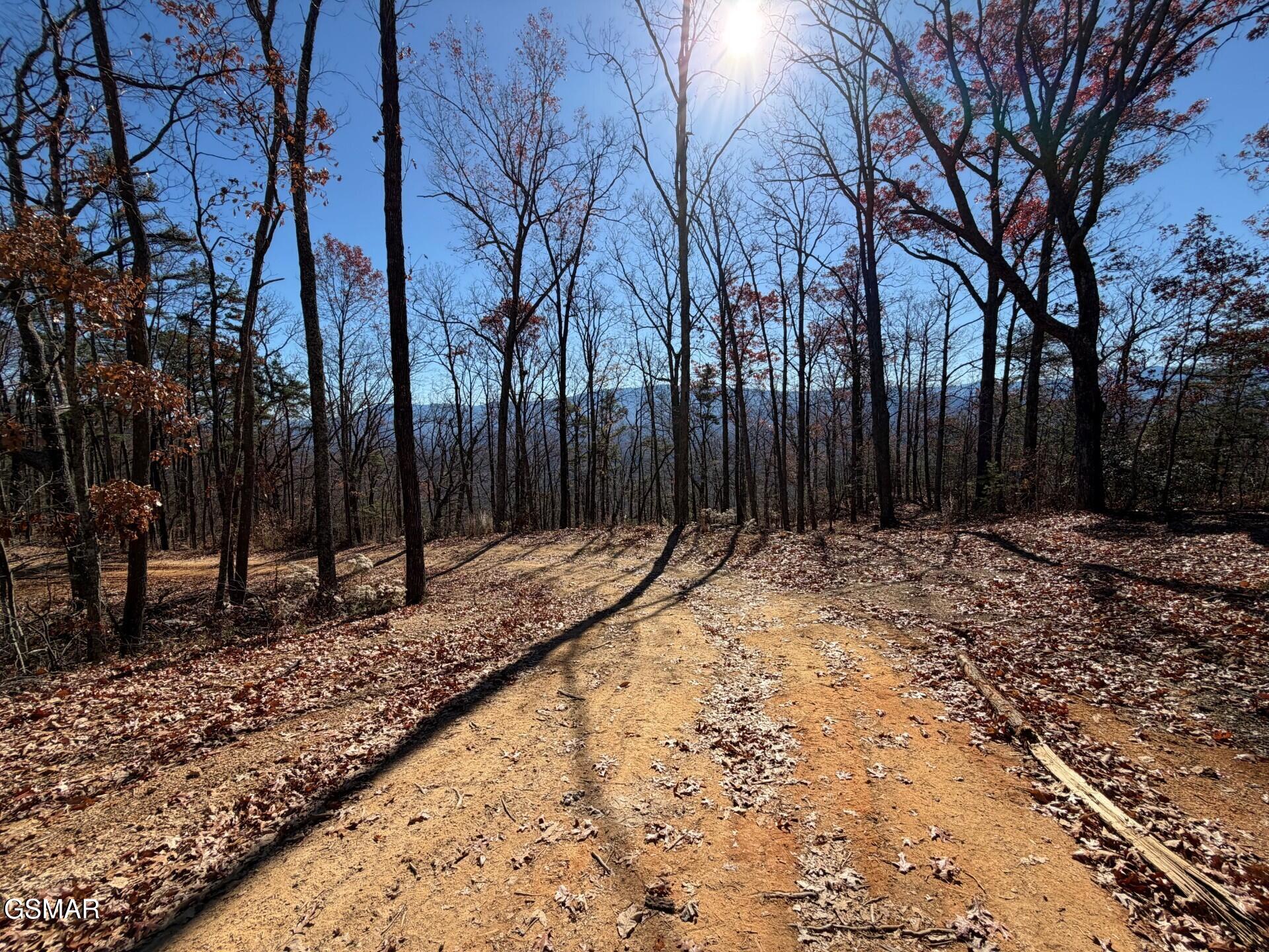 Sevierville, Tennessee, 37876, United States, ,Land,For Sale,2008093