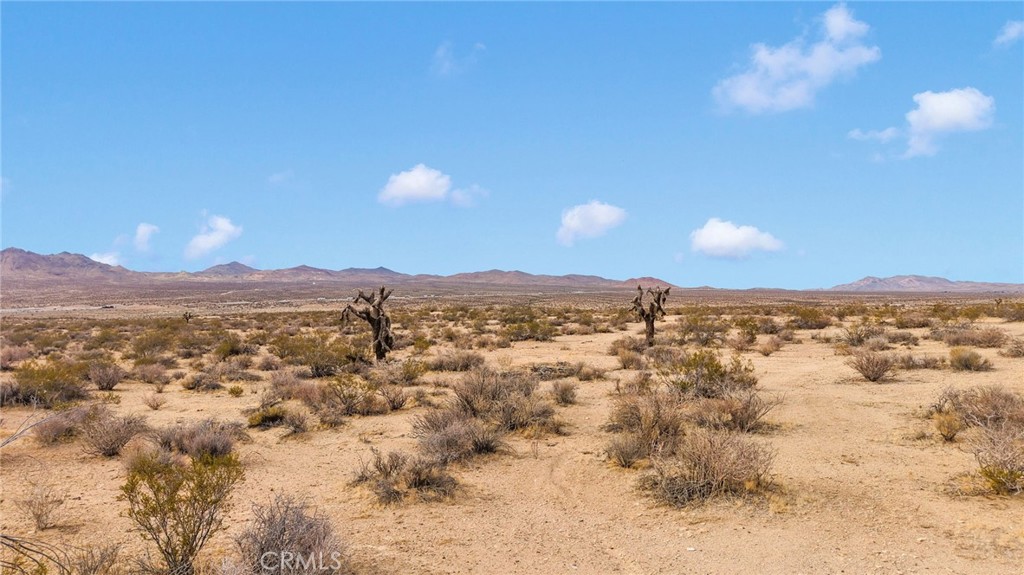 Apple Valley, California, 92307, United States, ,Land,For Sale,1980354