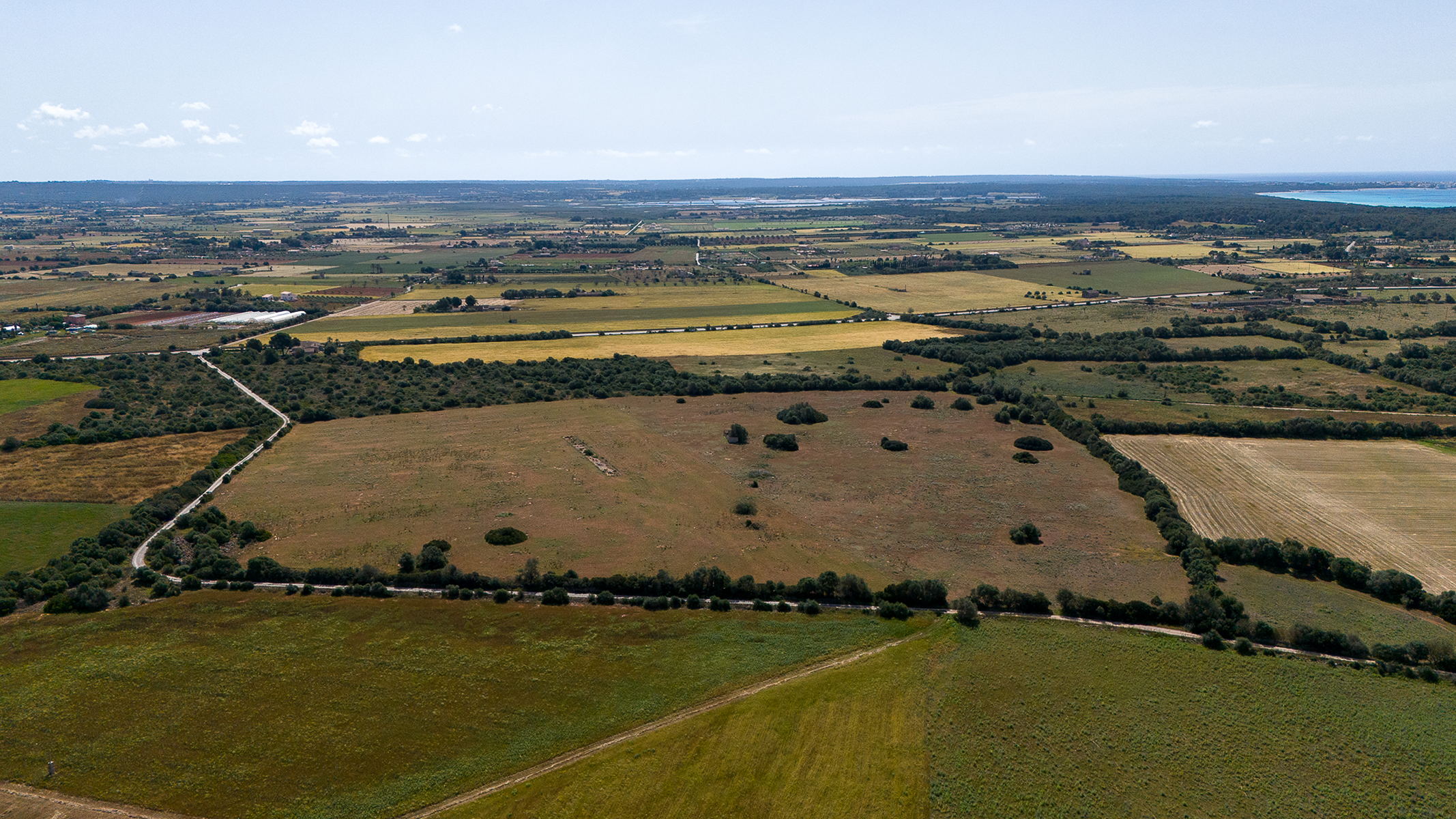  Spacious building plot near Sa Rapita - 物件實景
