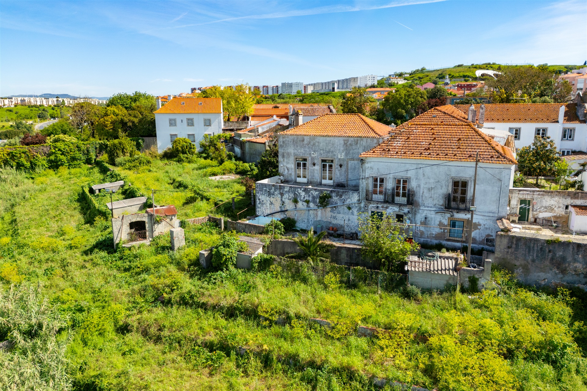  Farm for Sale - 物件實景