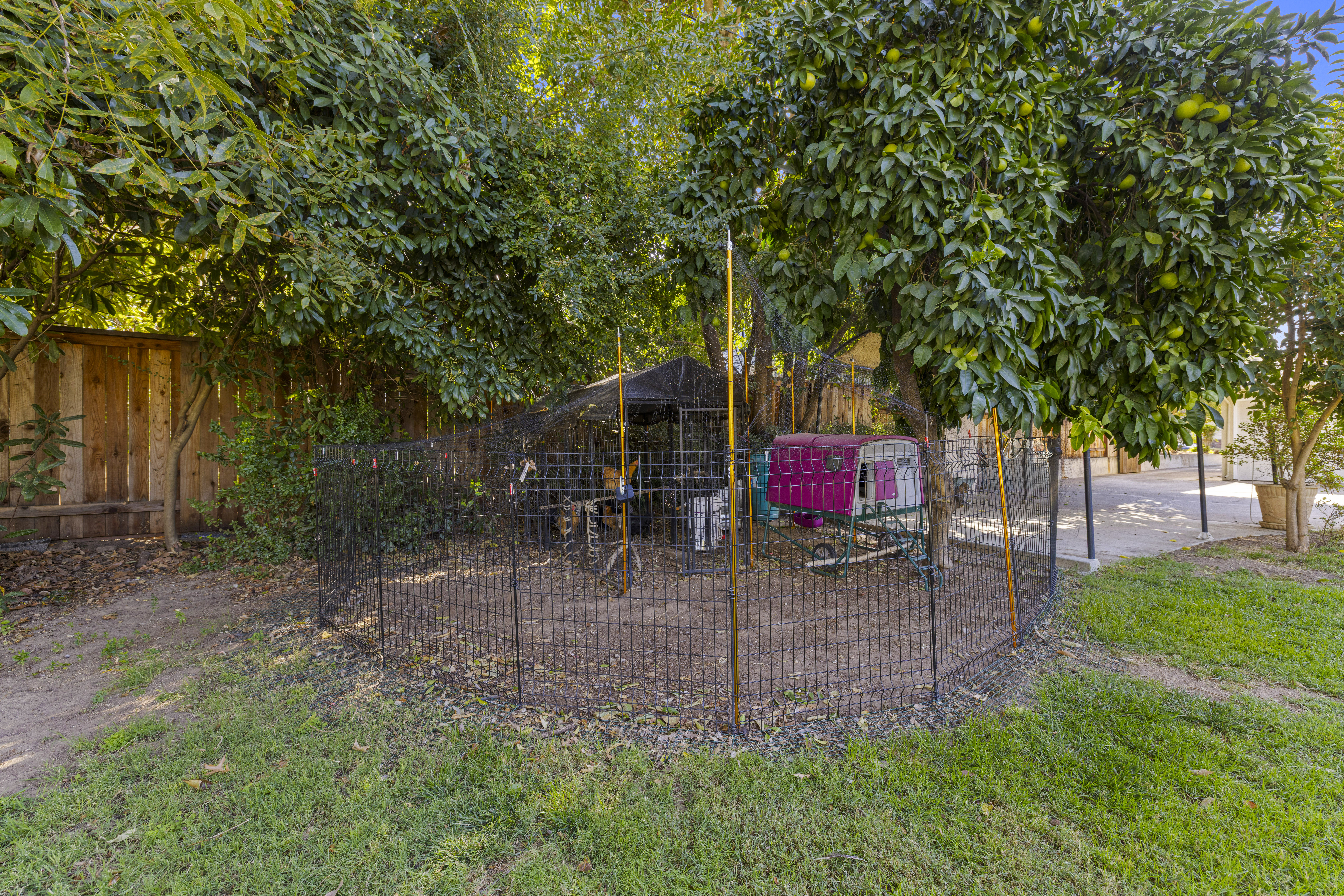  7683 Greenridge Way, Fair Oaks, CA 95628 - 物件實景
