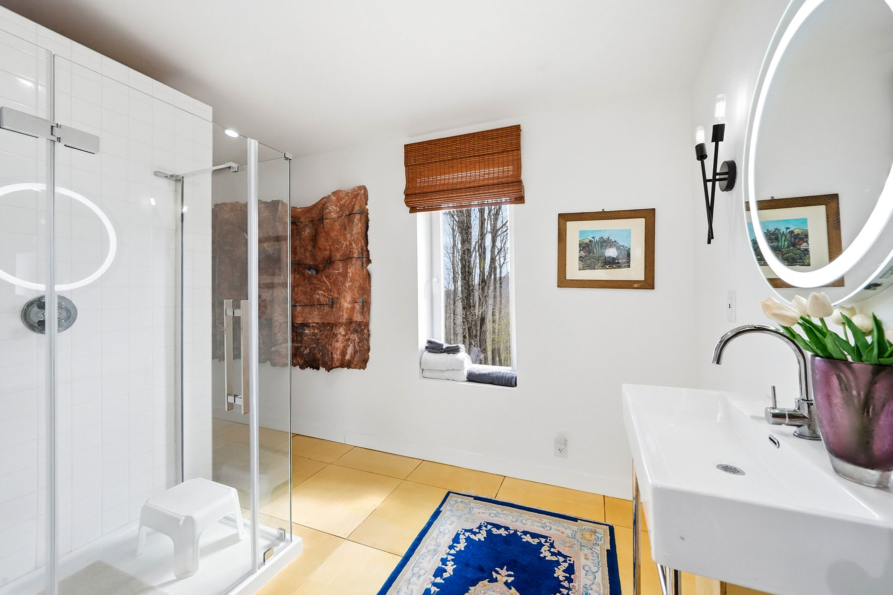  ROAN MOUNTAIN - 物件實景