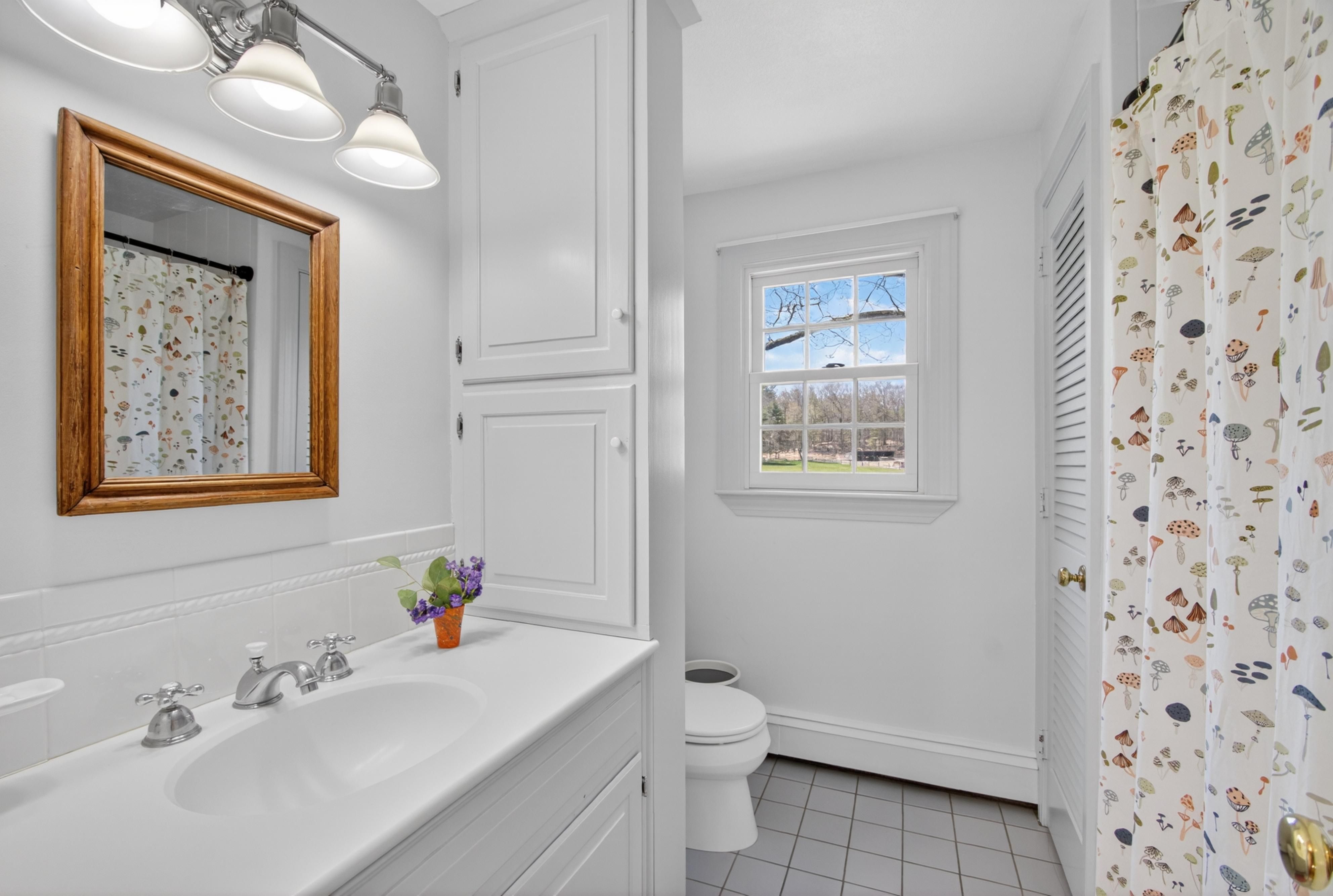  225 Lowell Street, Carlisle, MA 01741 - 物件實景