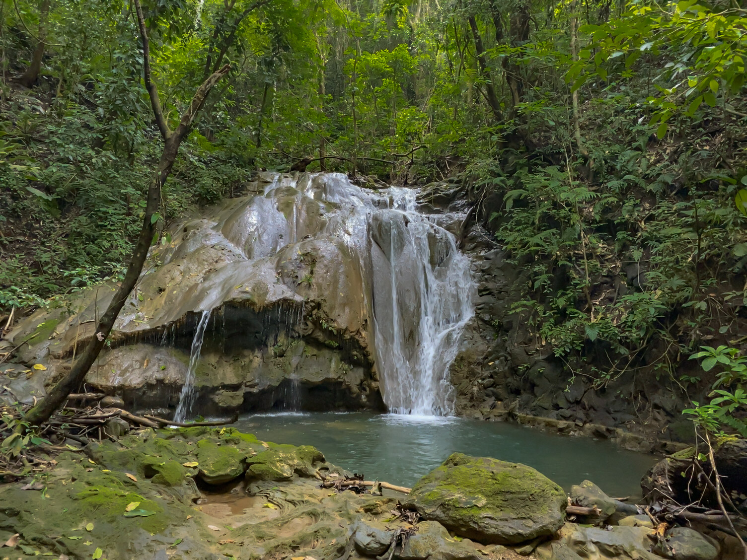 Las Delicias, Delicias, Puntarenas, CR, ,Land,For Sale,Las Delicias,1613556