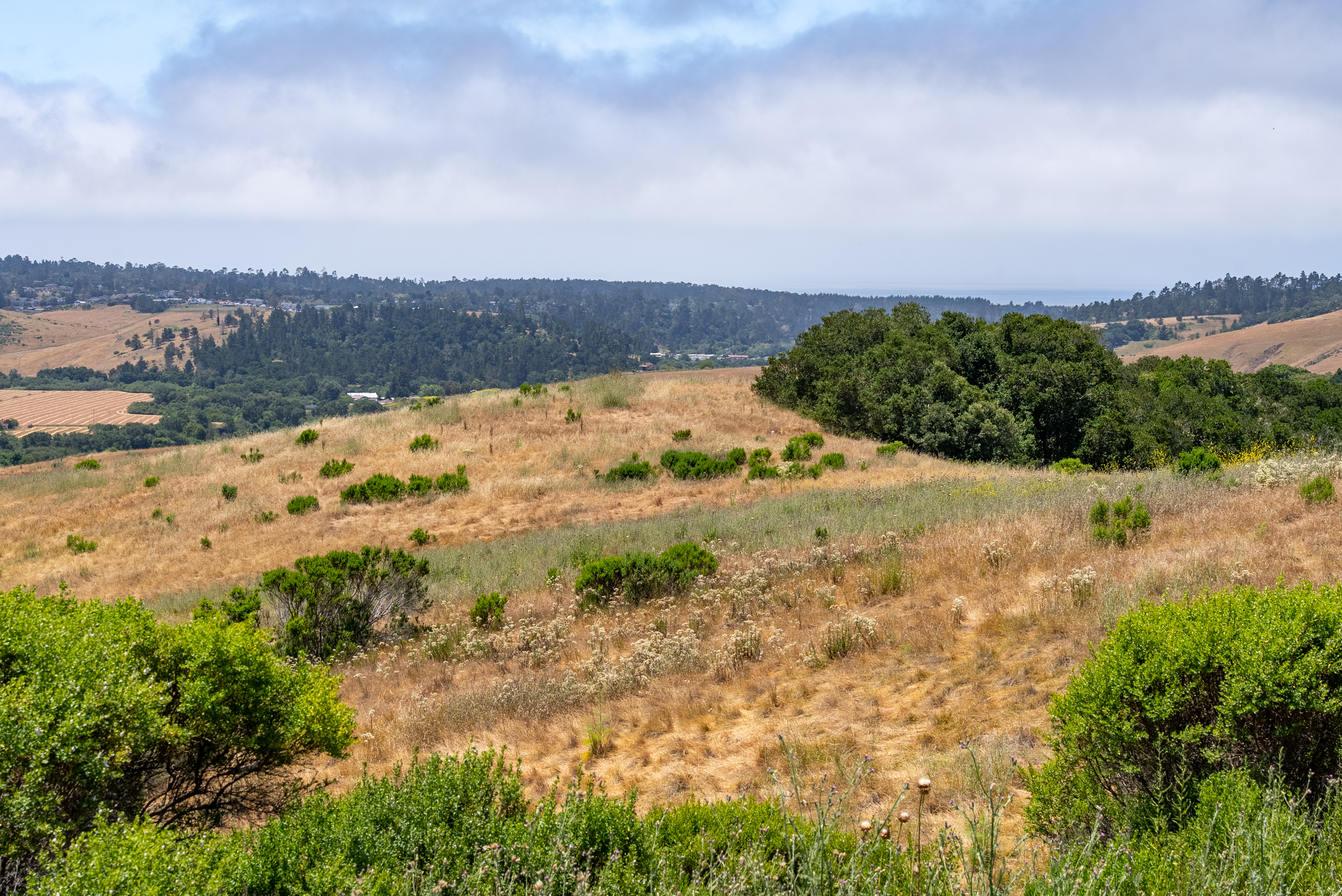  Homesite with Ocean and Mountain Views - 物件實景