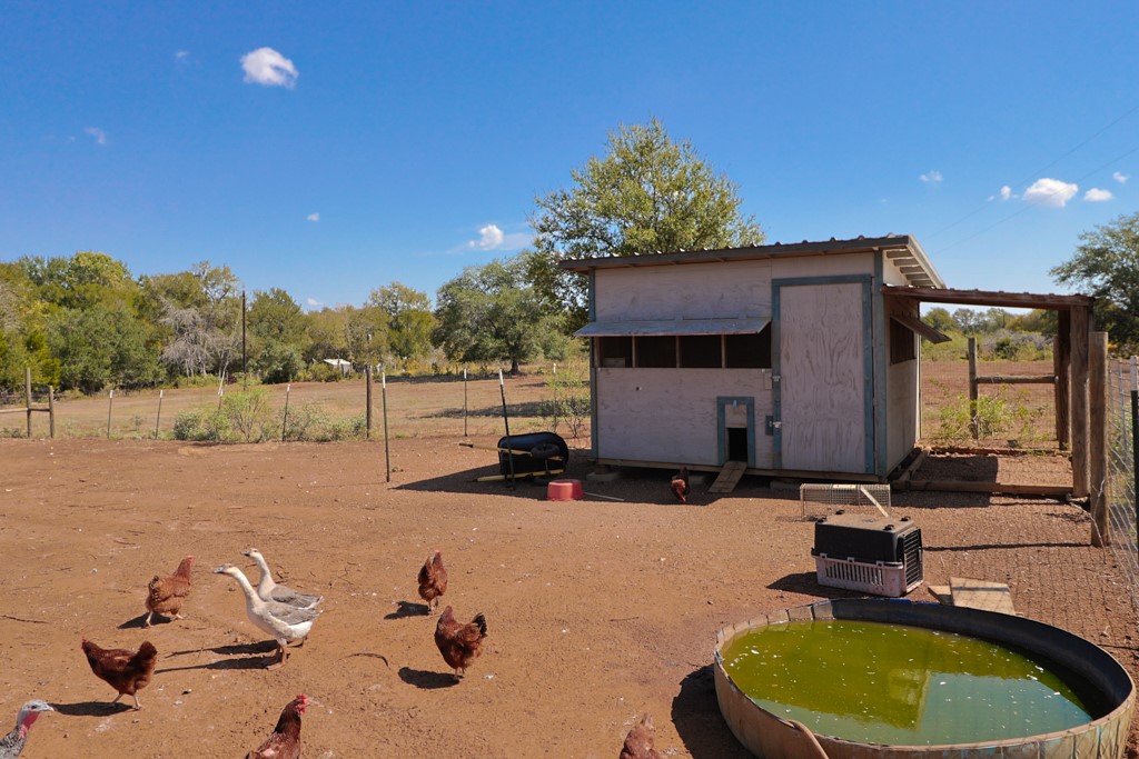Lexington, Texas, 78947, United States, 4 Bedrooms Bedrooms, ,3 BathroomsBathrooms,Residential,For Sale,2002200