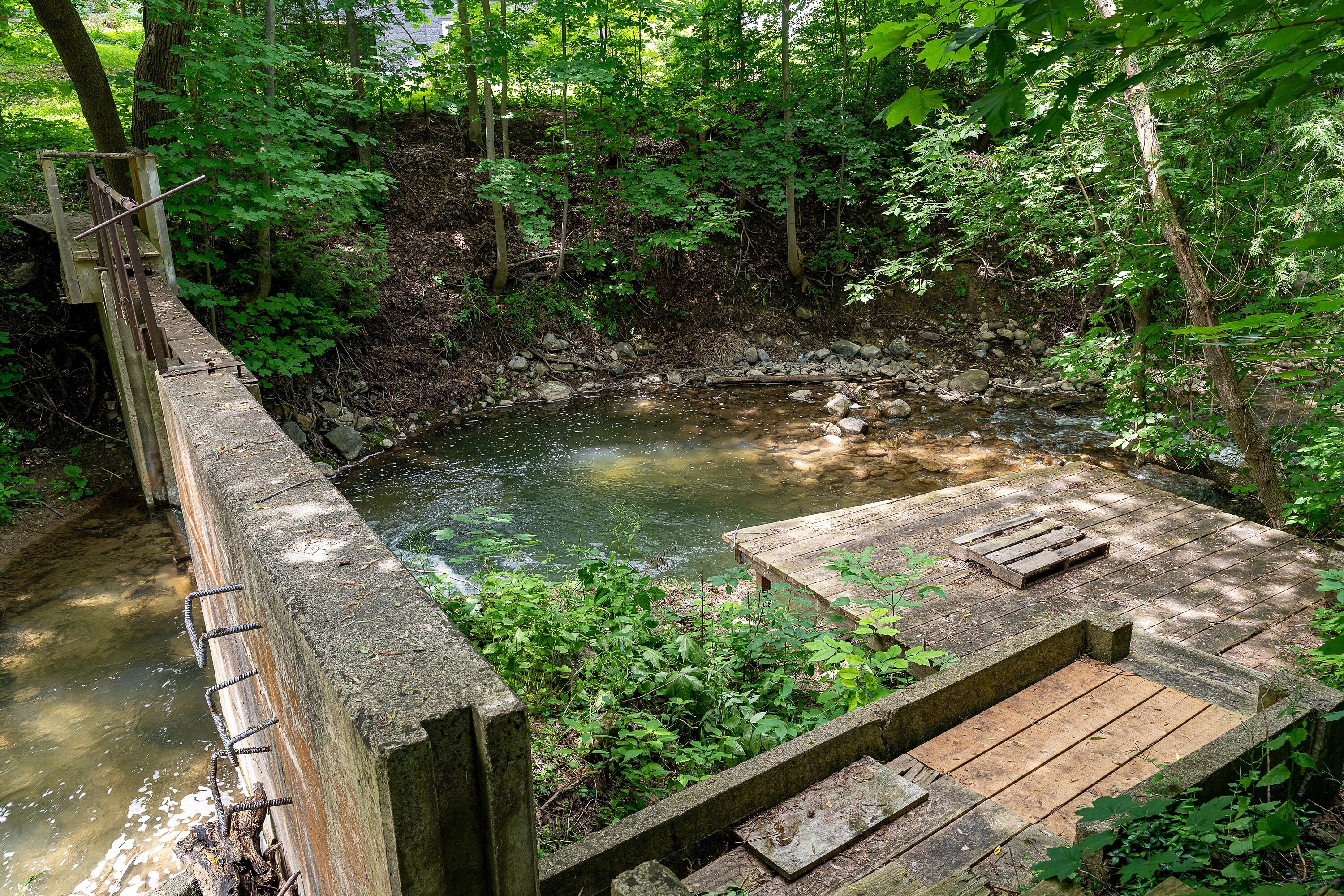  1.77-Acre Sanctuary - 物件實景