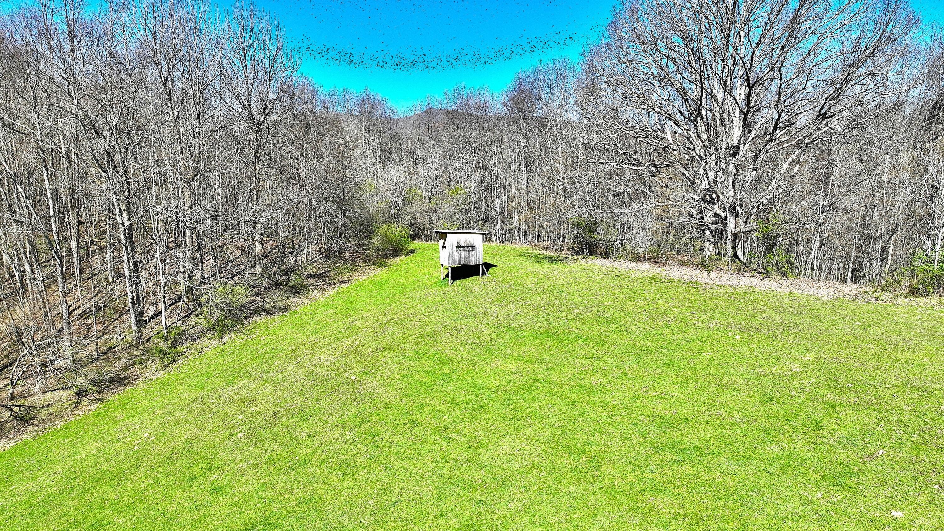 Hillsboro, West Virginia, 24946, United States, 4 Bedrooms Bedrooms, ,3 BathroomsBathrooms,Residential,For Sale,1786403