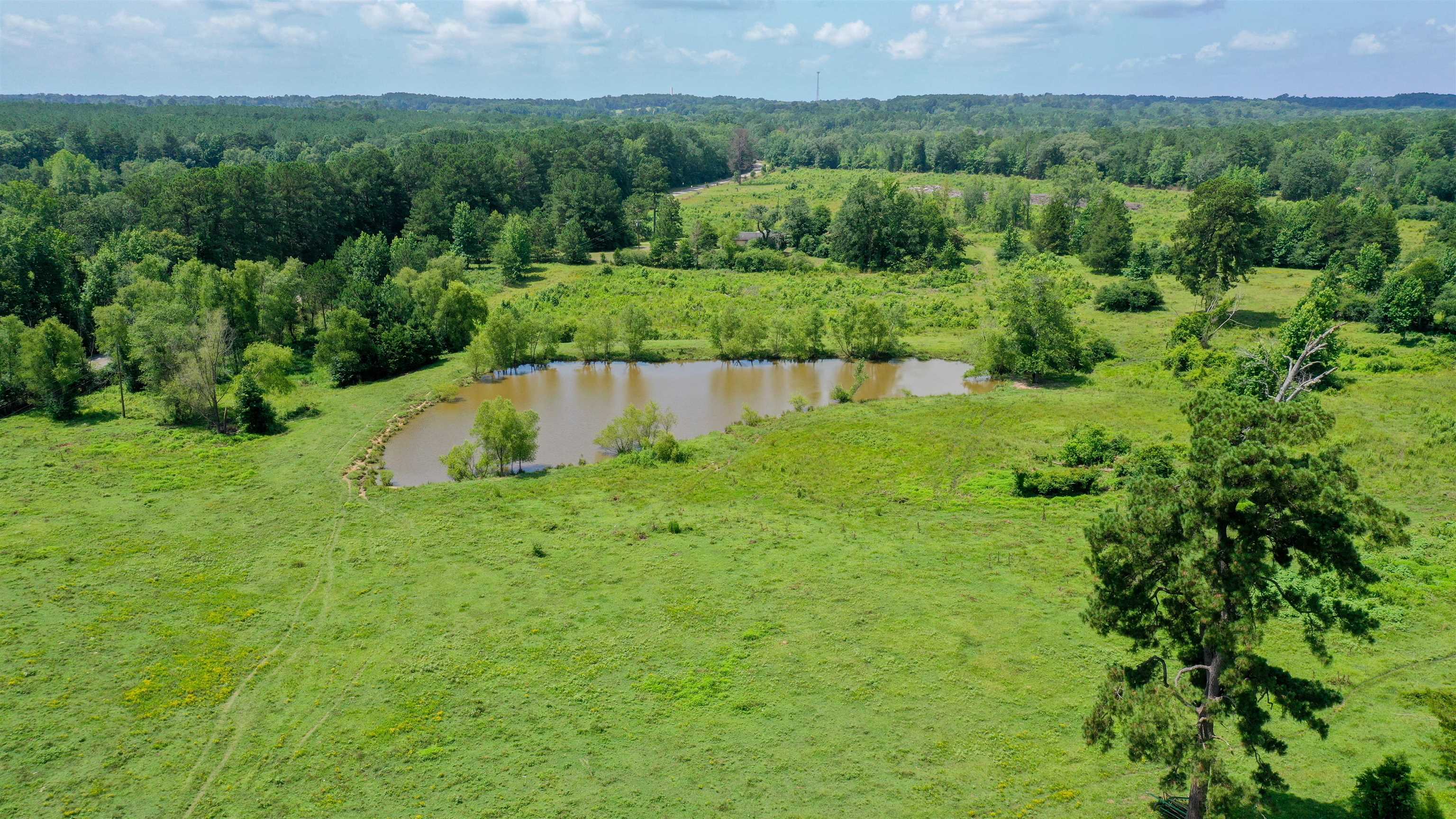 Linden, Texas, 75563, United States, ,Land,For Sale,1975448